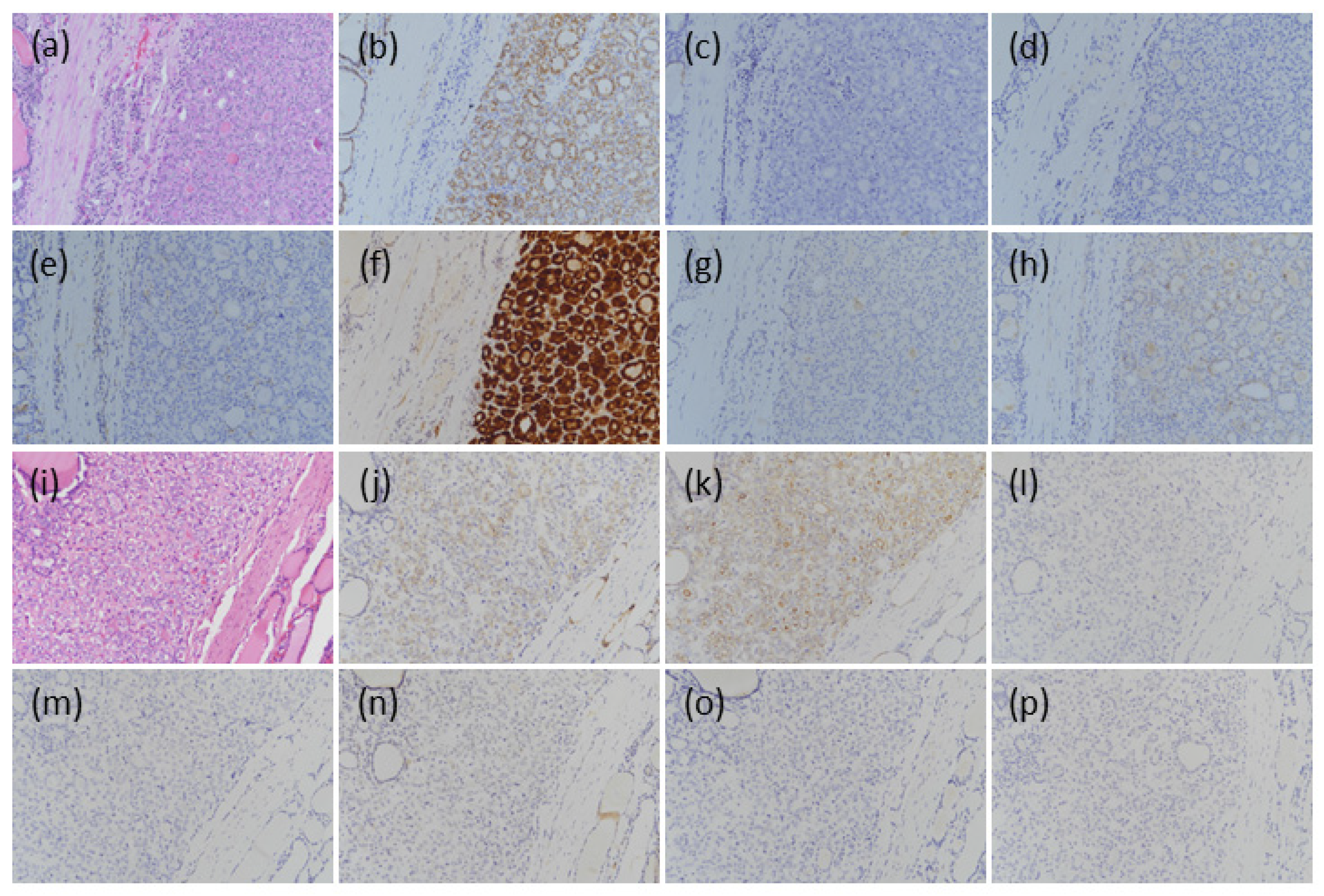 Medicina 57 01246 g001