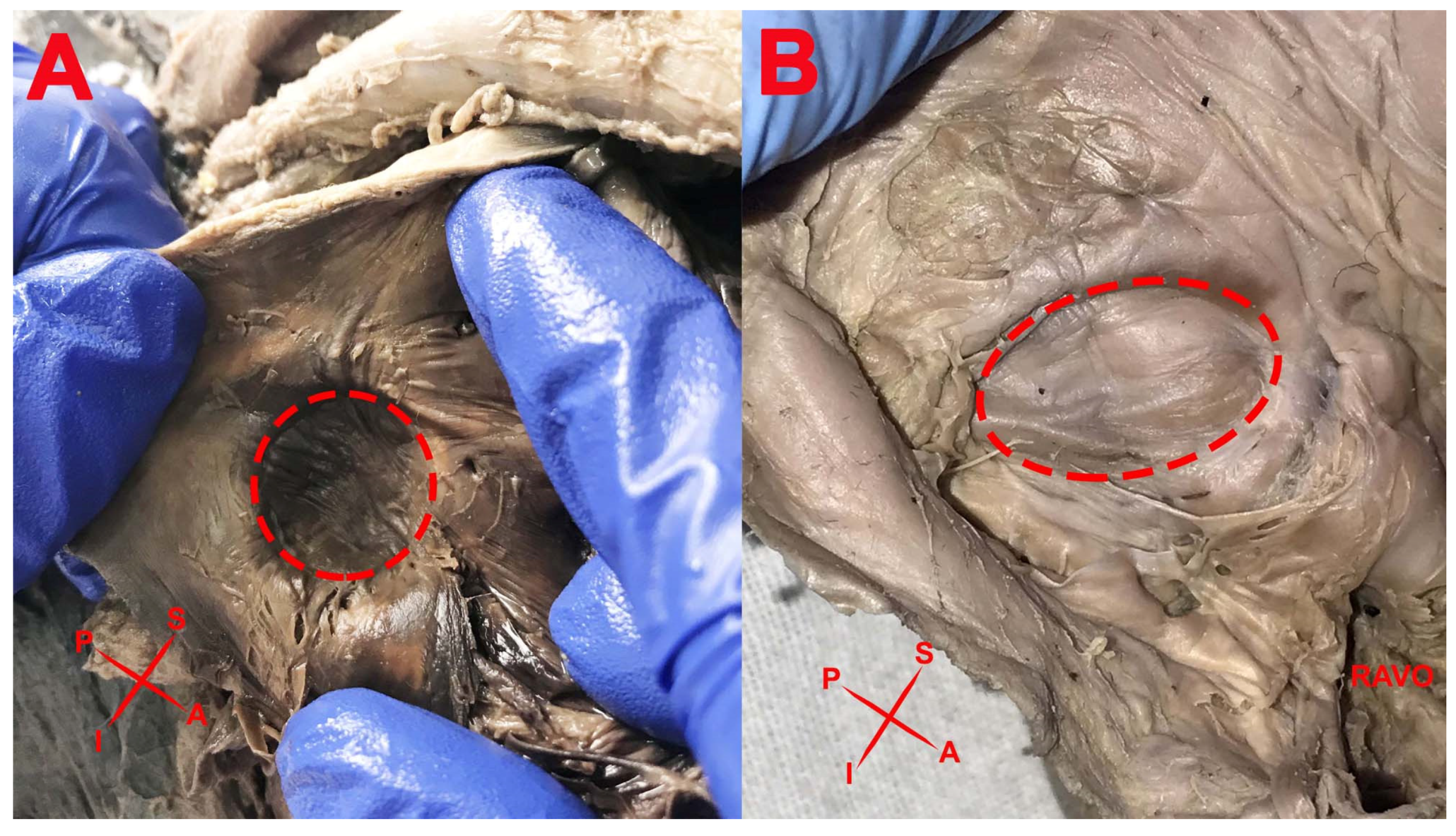 Medicina 57 01254 g001