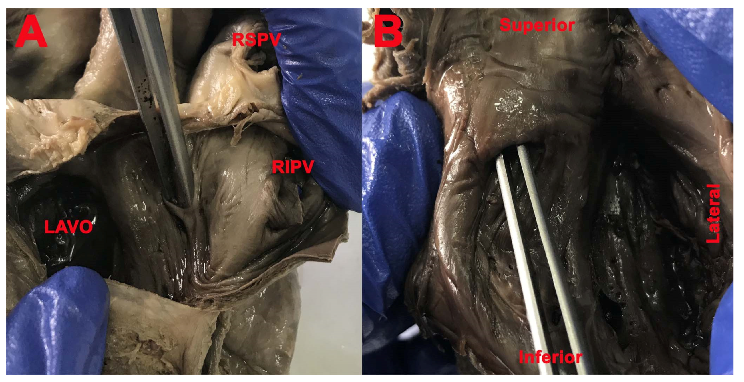 Medicina 57 01254 g003