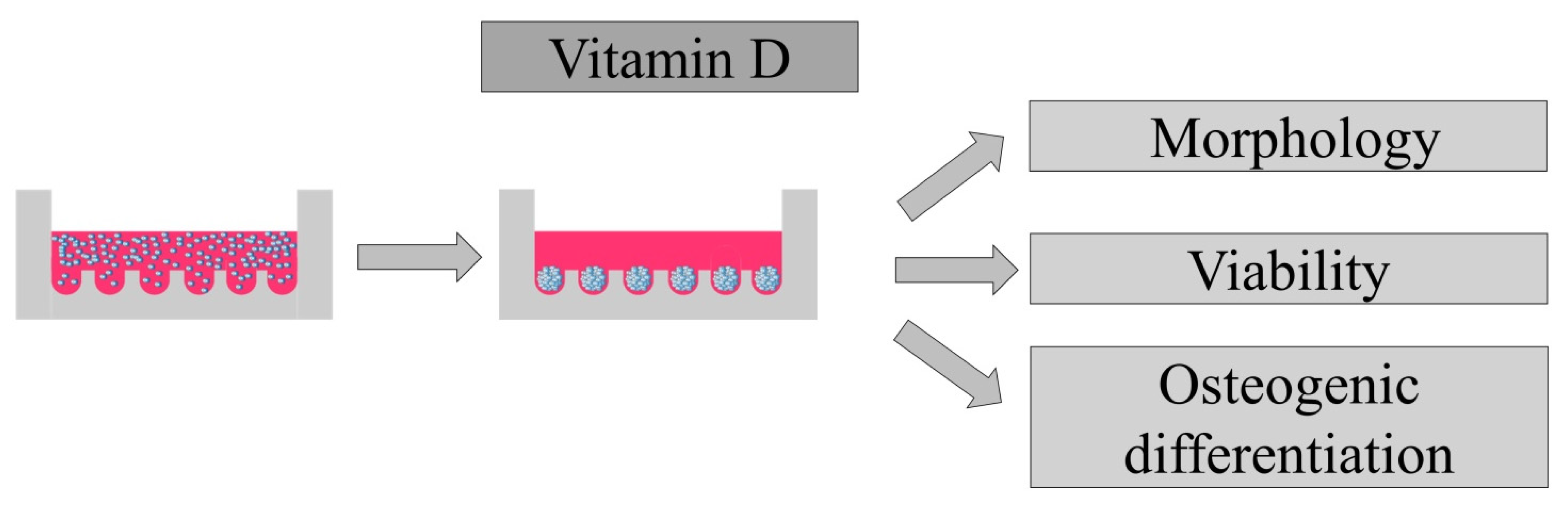 Medicina 57 01271 g001 Medicina 57 01271 g001