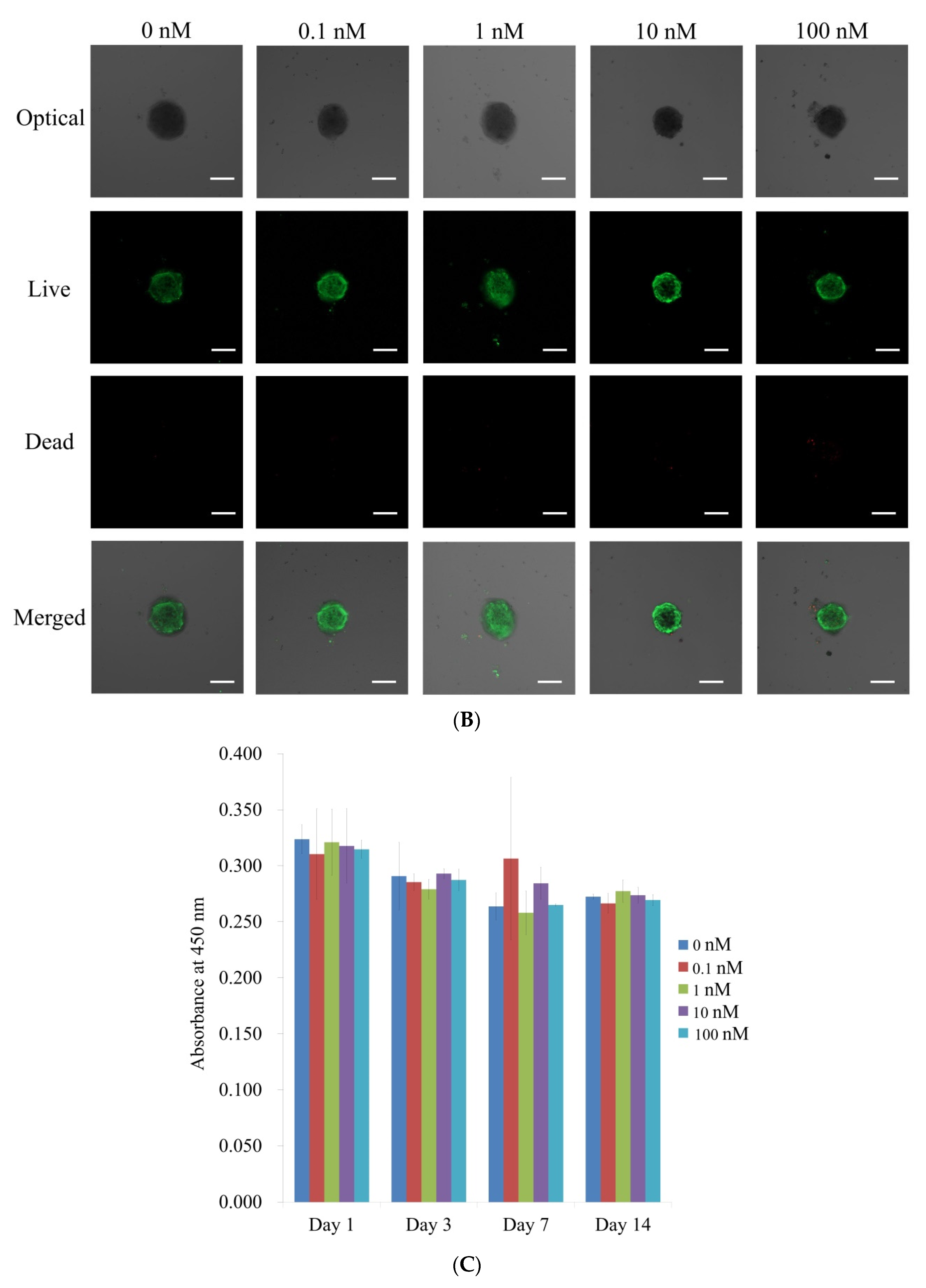 Medicina 57 01271 g003b Medicina 57 01271 g003b