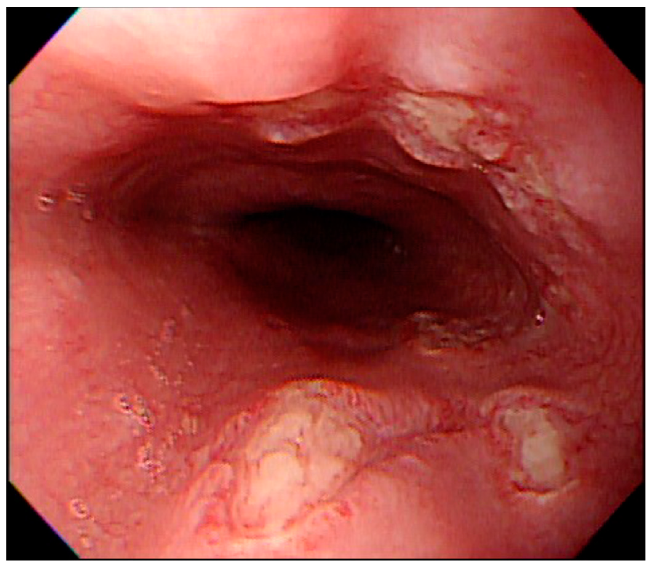 Medicina 57 01286 g002