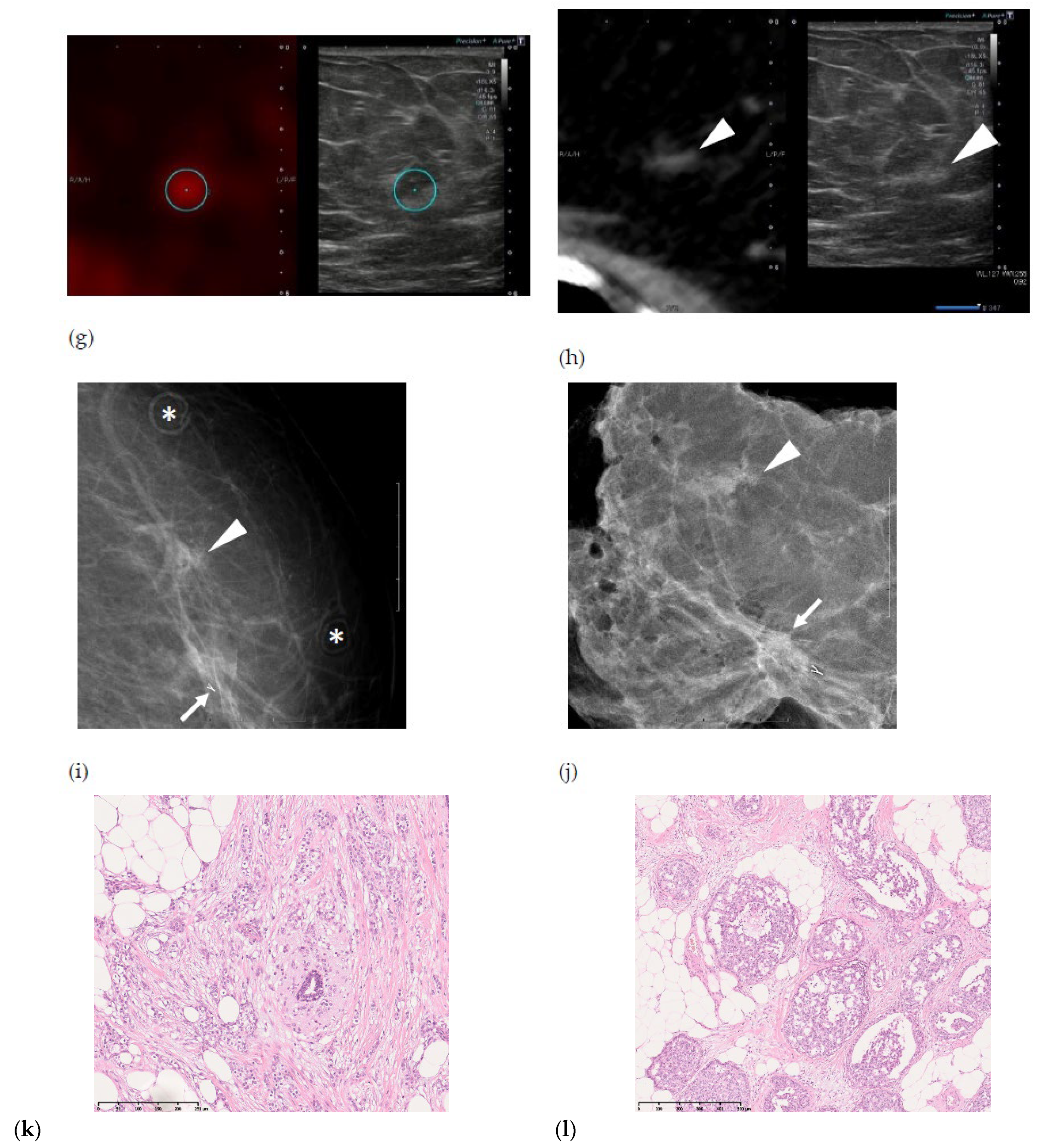 Medicina 57 01289 g001b