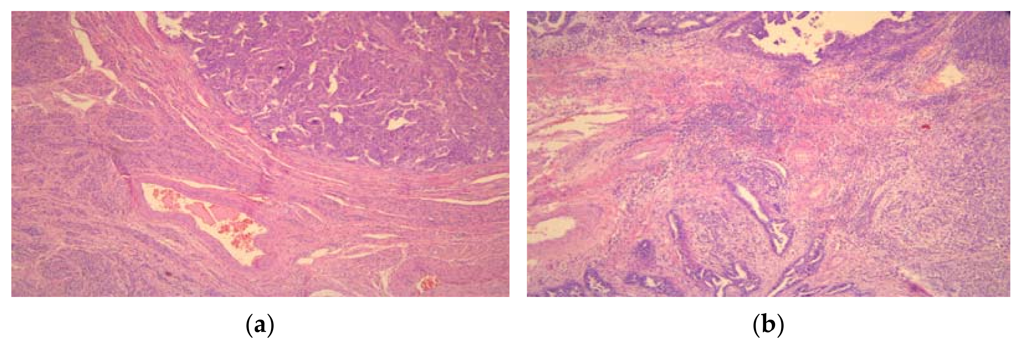 Medicina 57 01309 g001