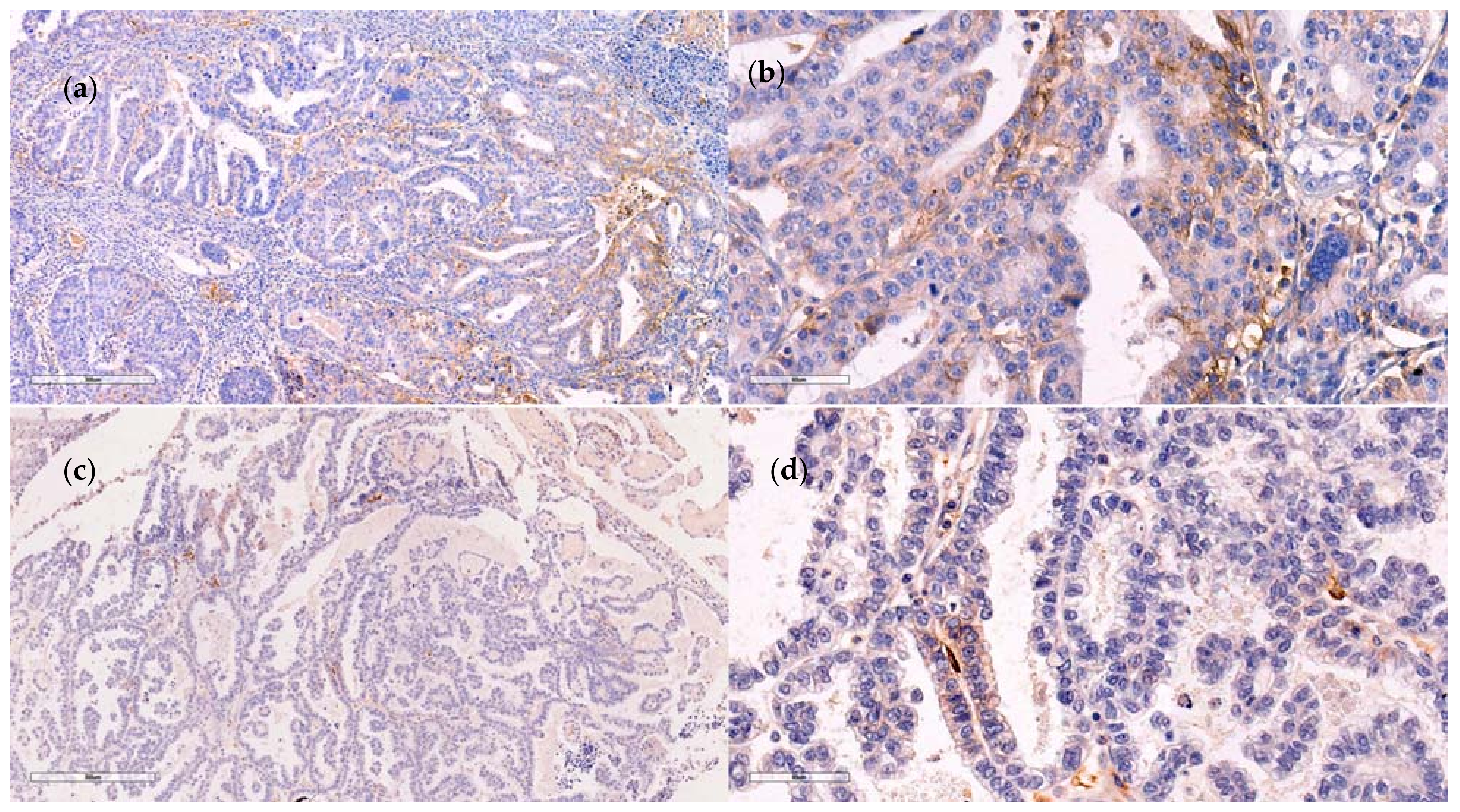 Medicina 57 01309 g002