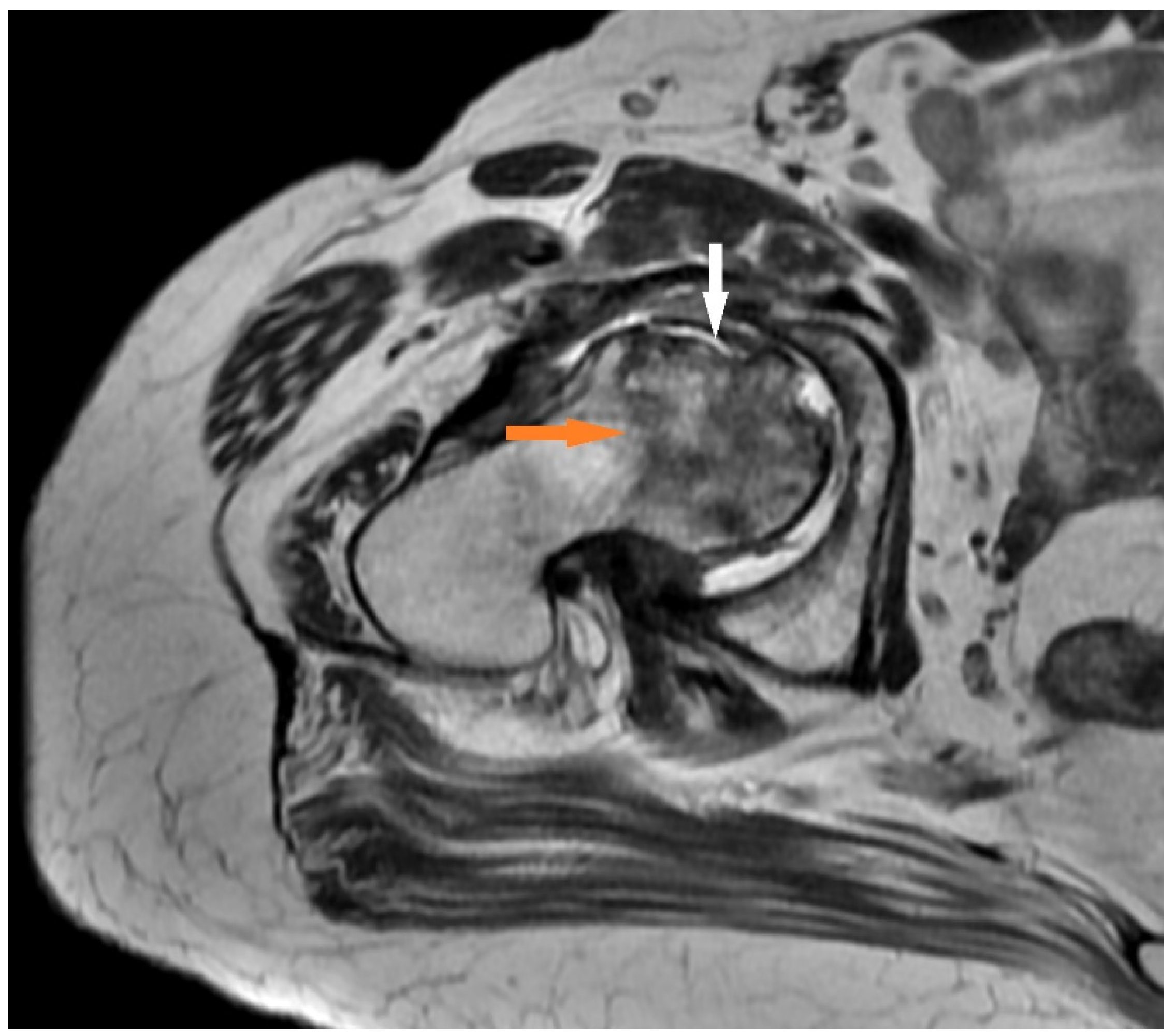 Medicina 57 01311 g002