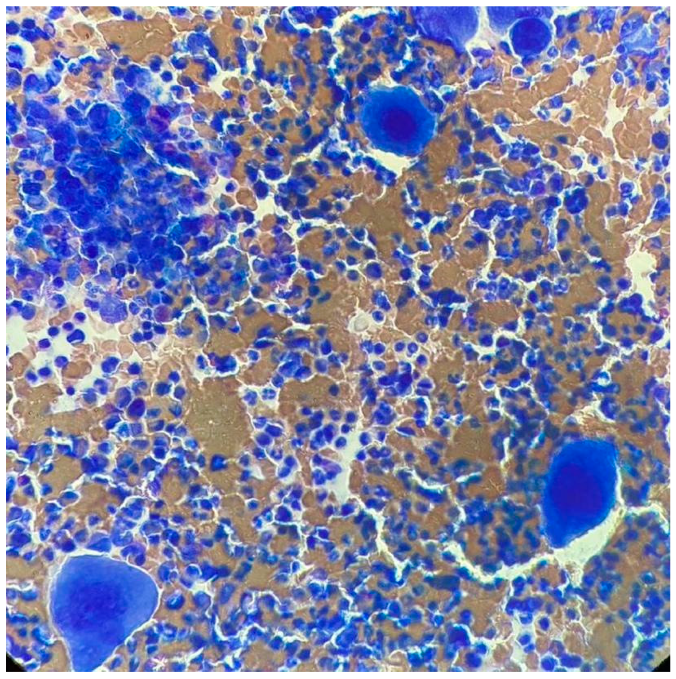 Medicina 57 01326 g001