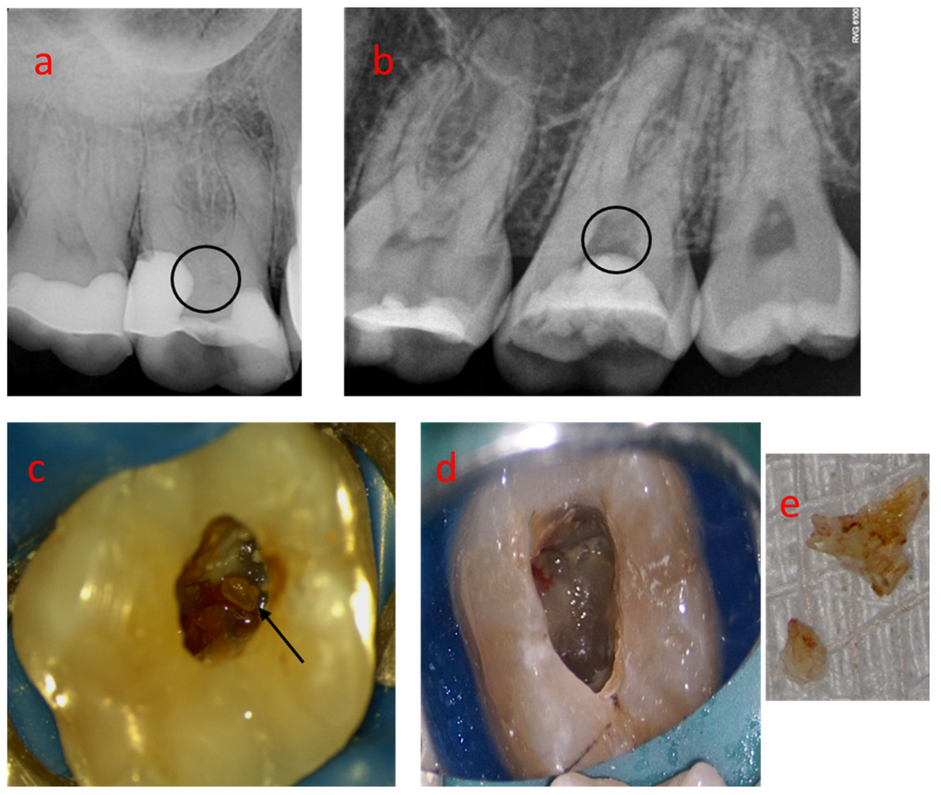 Medicina 58 00005 g001