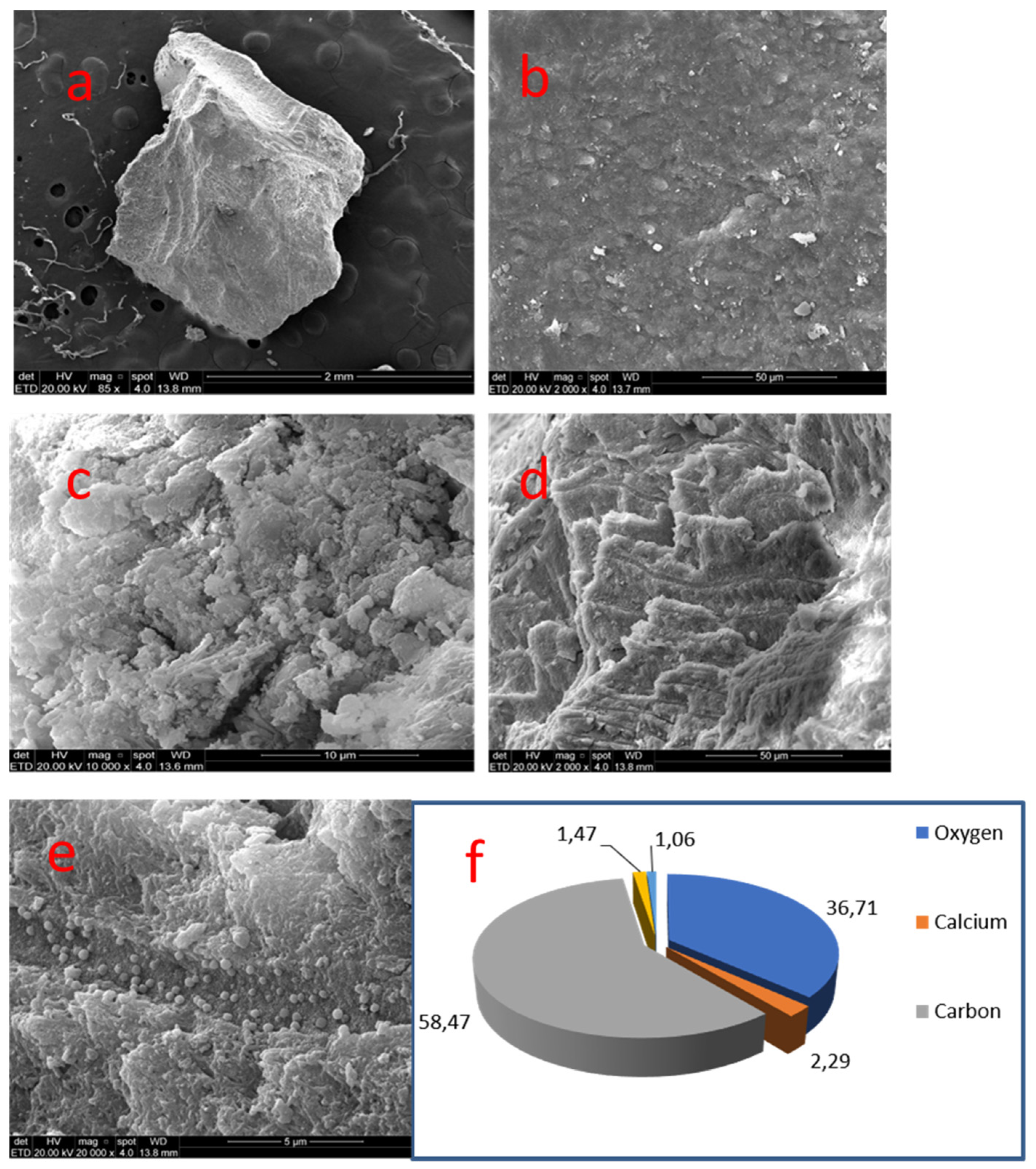 Medicina 58 00005 g003