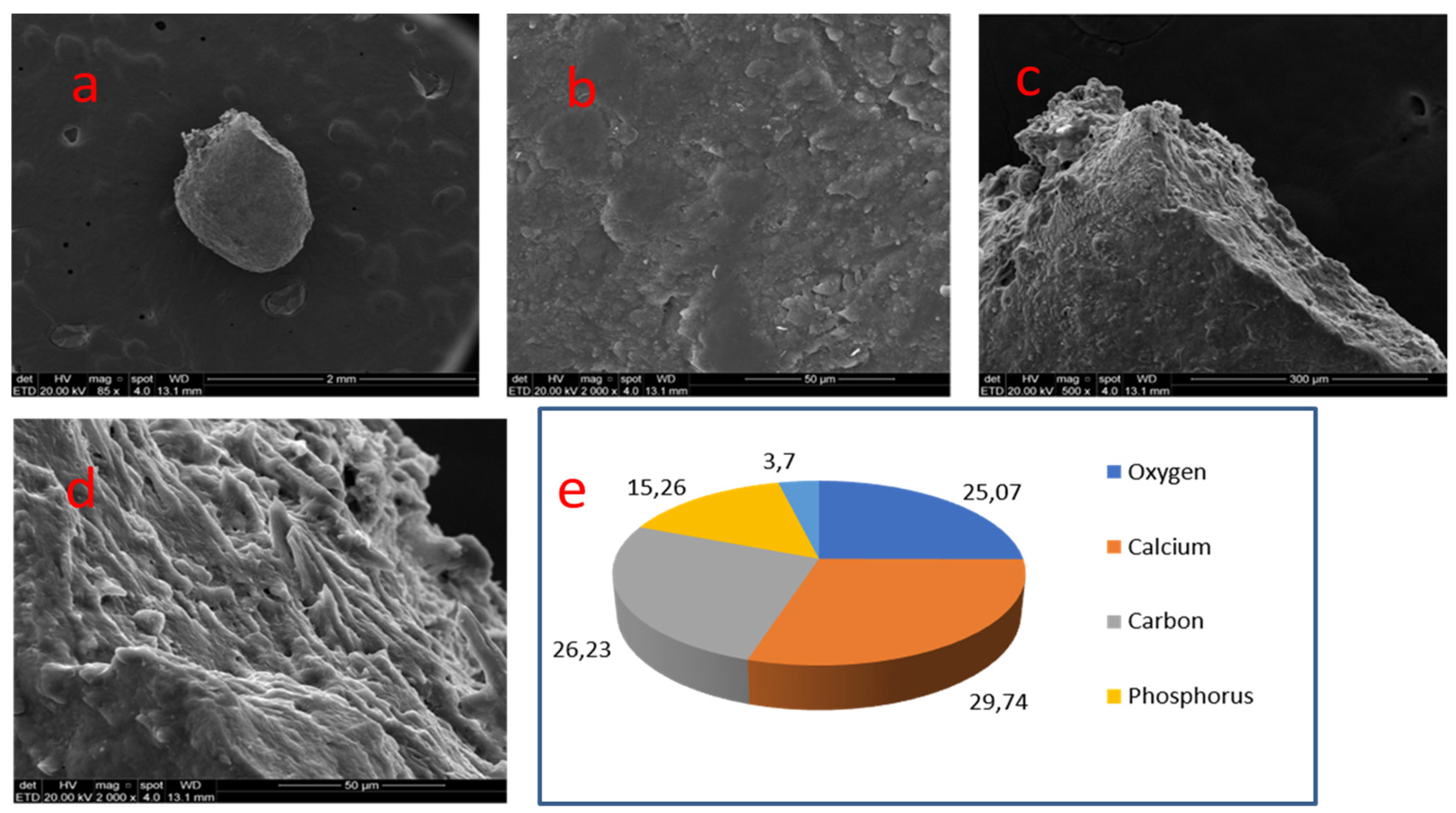 Medicina 58 00005 g006