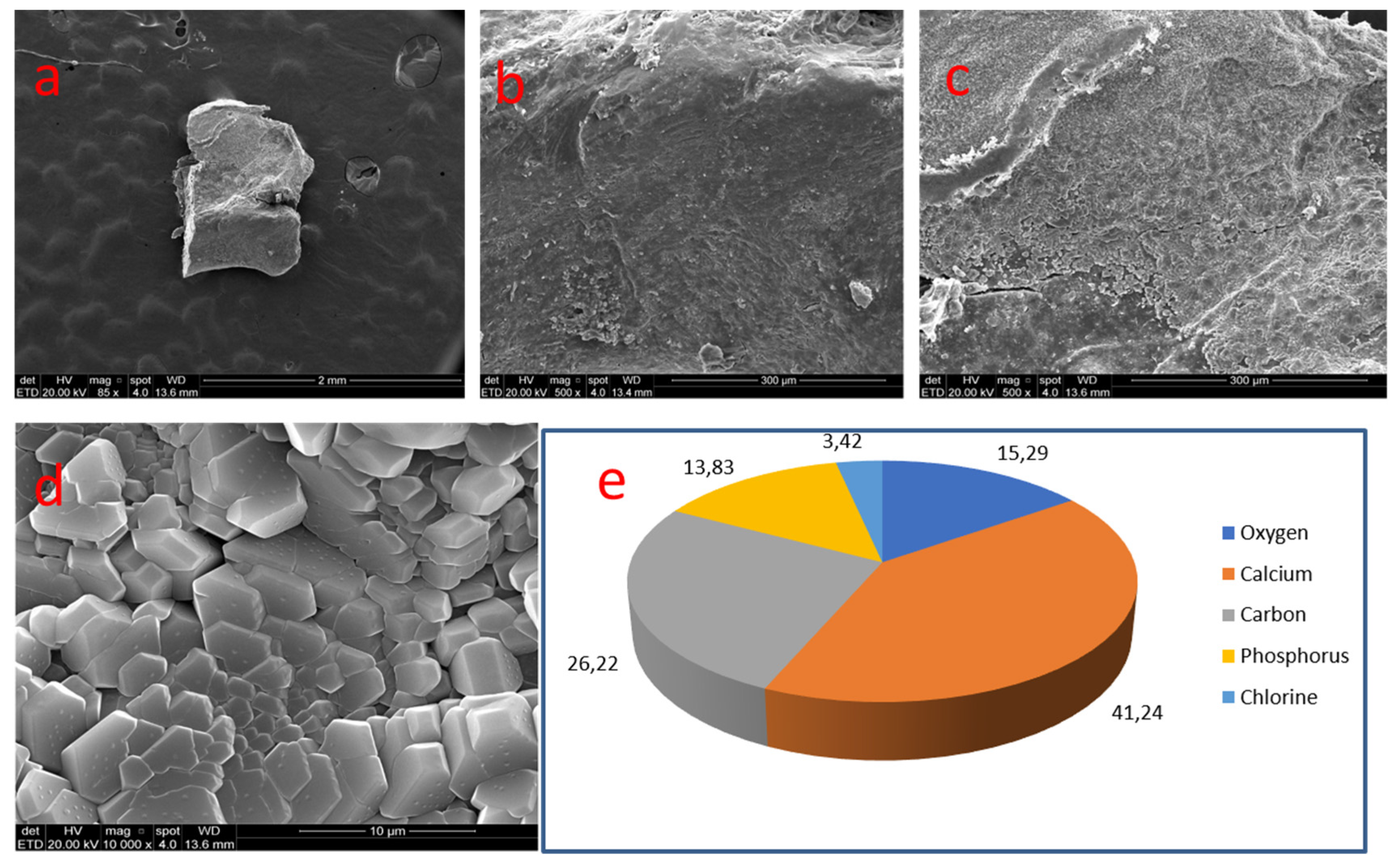 Medicina 58 00005 g007
