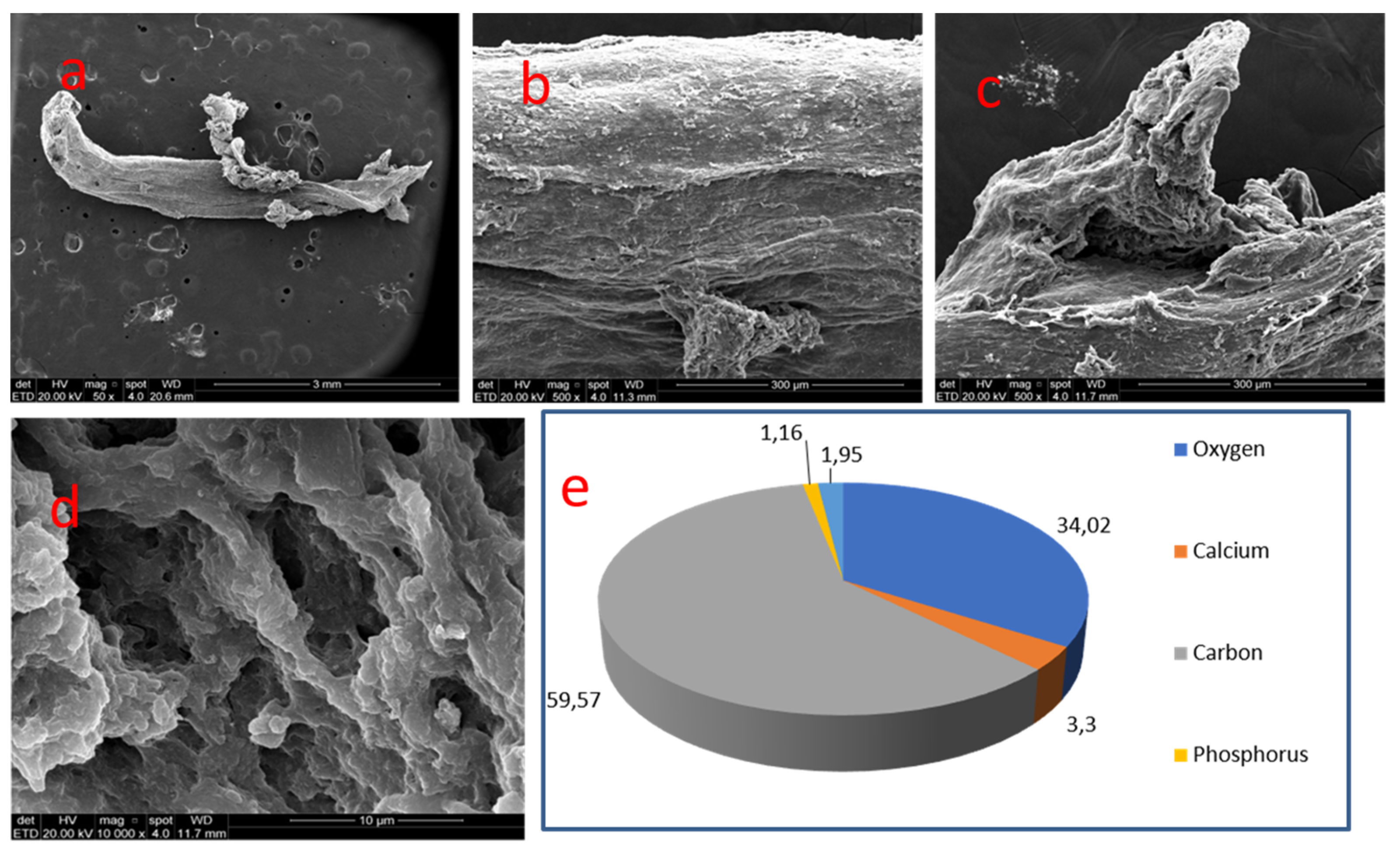 Medicina 58 00005 g008
