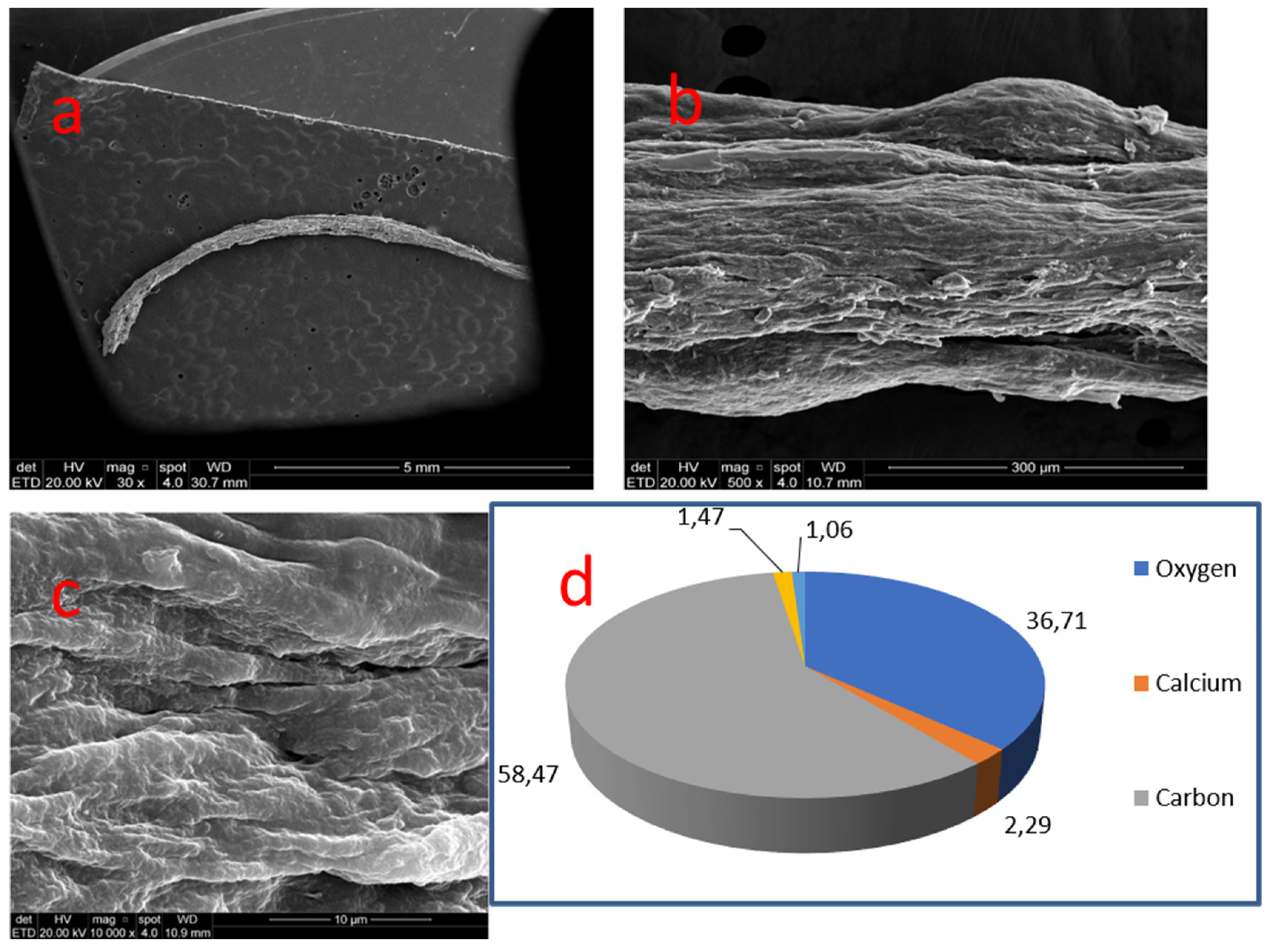 Medicina 58 00005 g009