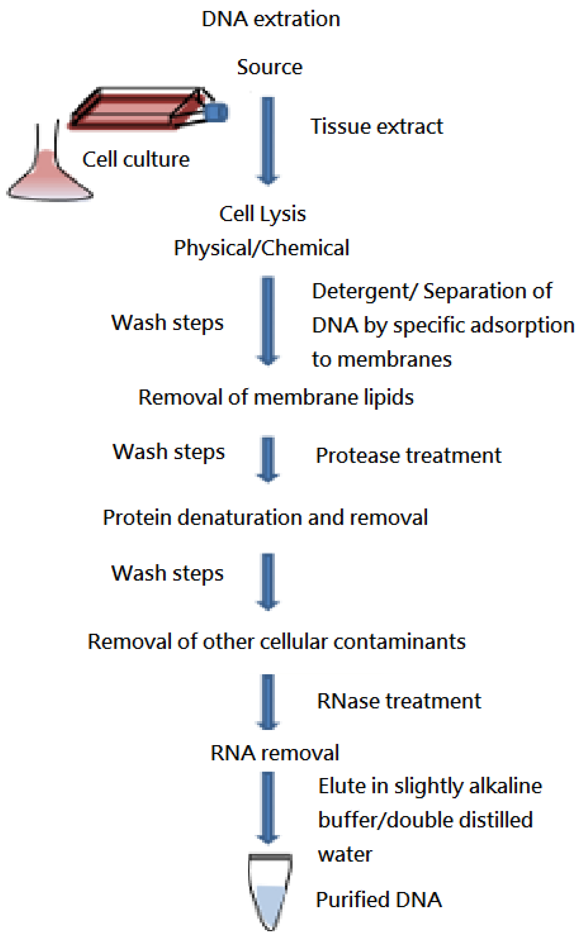Medicina 58 00015 g001
