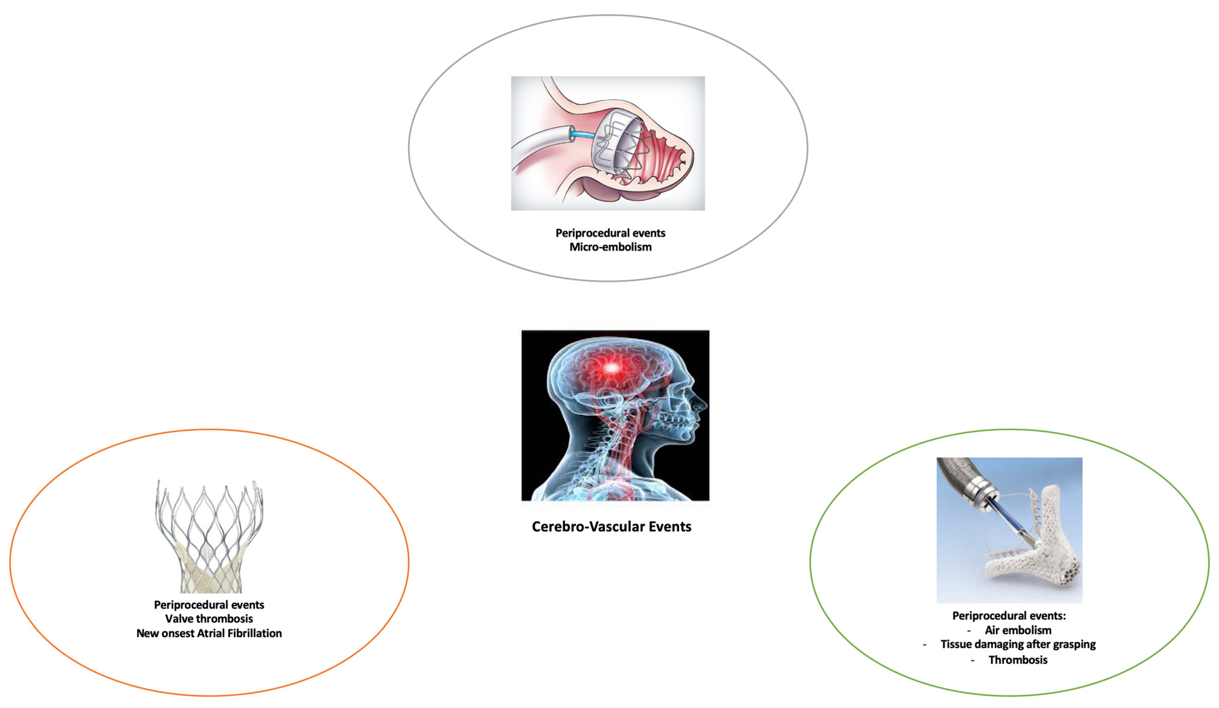 Medicina 58 00045 g001