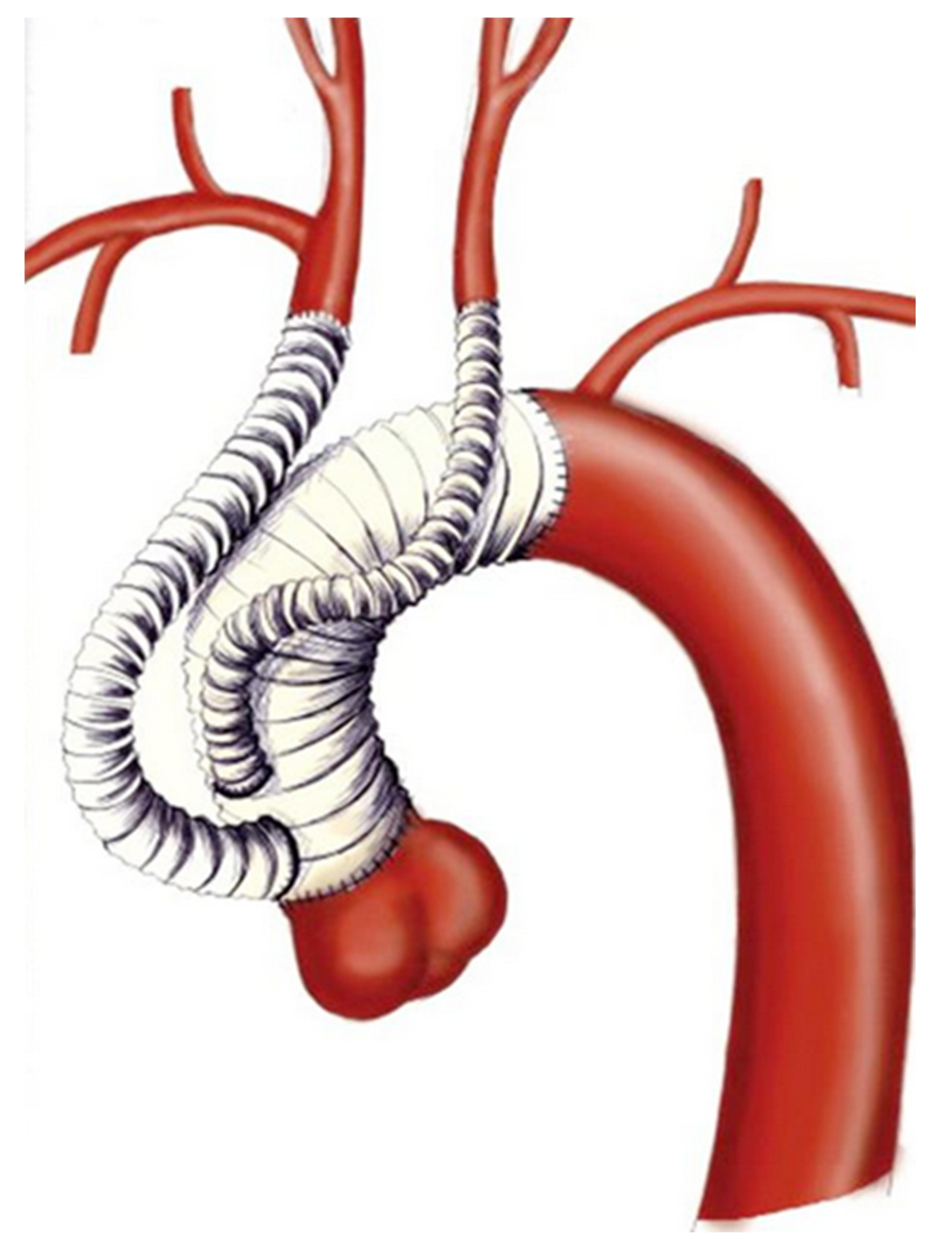 Medicina 58 00049 g003