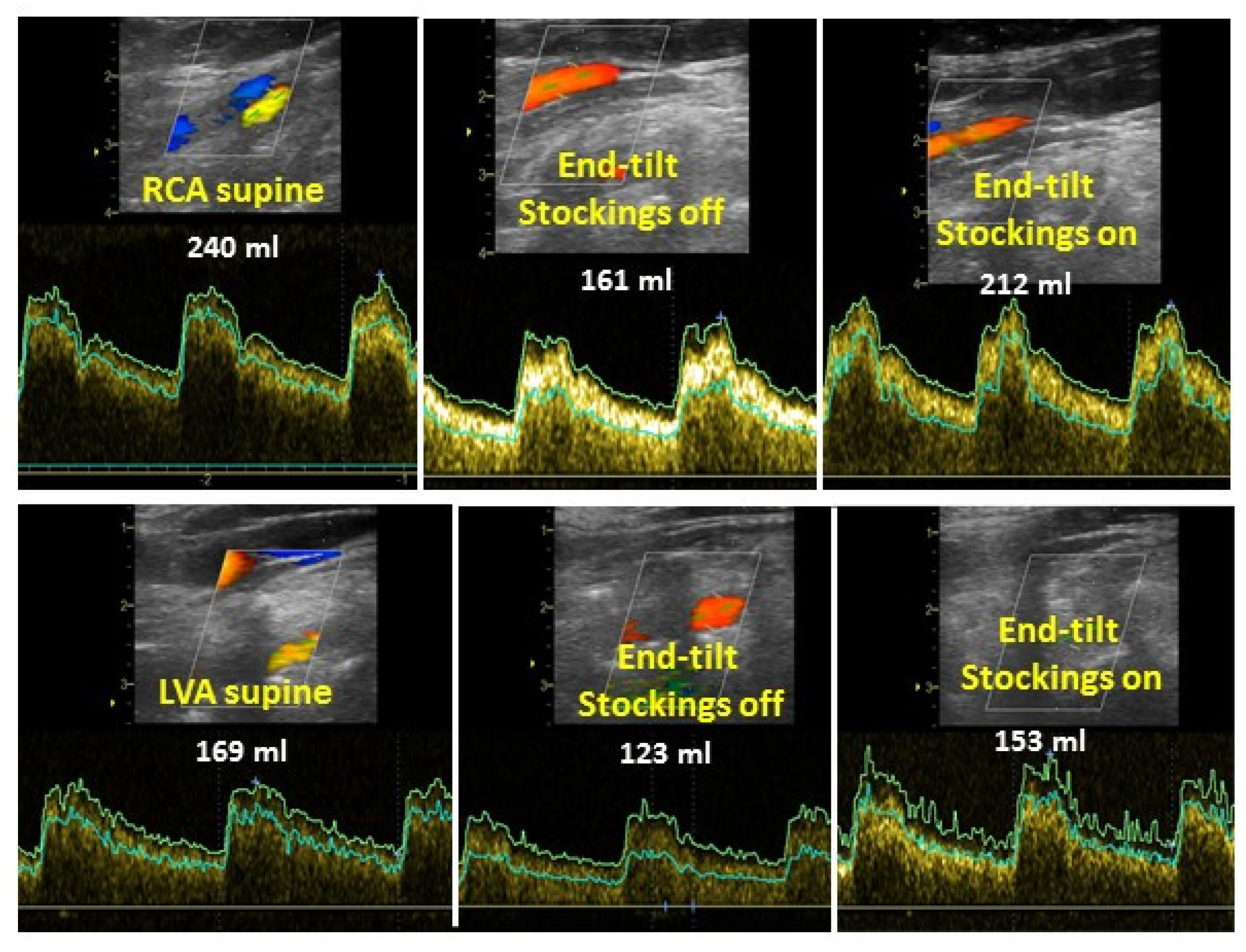 Medicina 58 00051 g005
