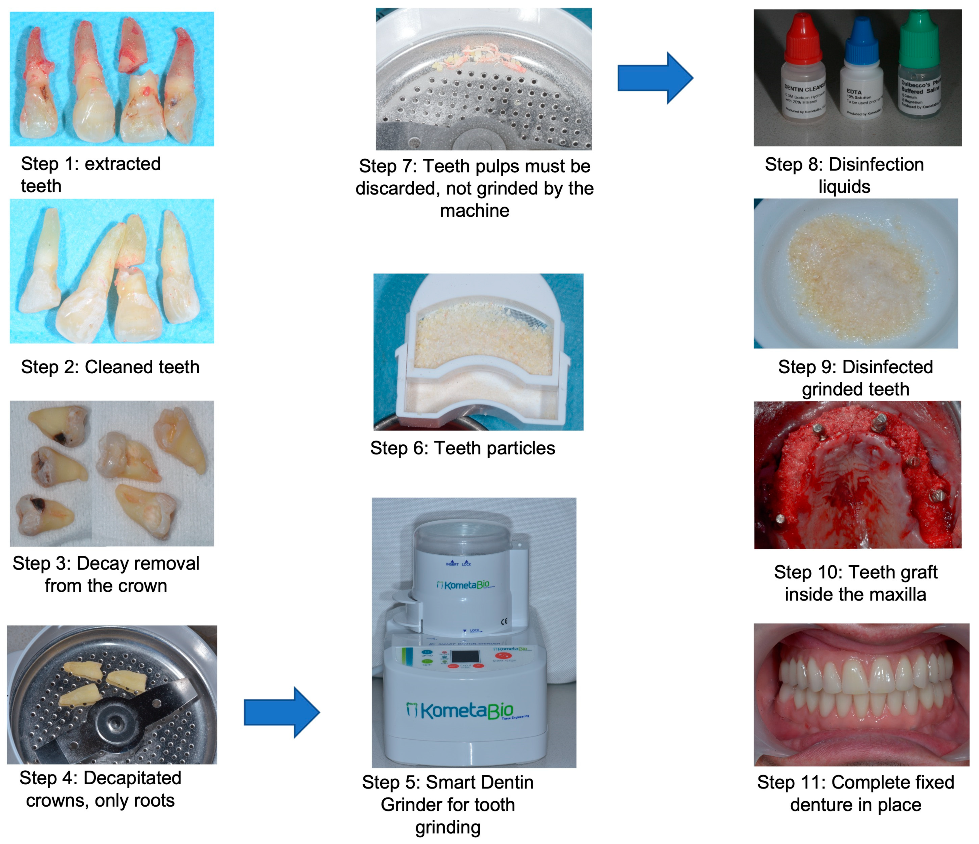 Medicina 58 00056 ch001