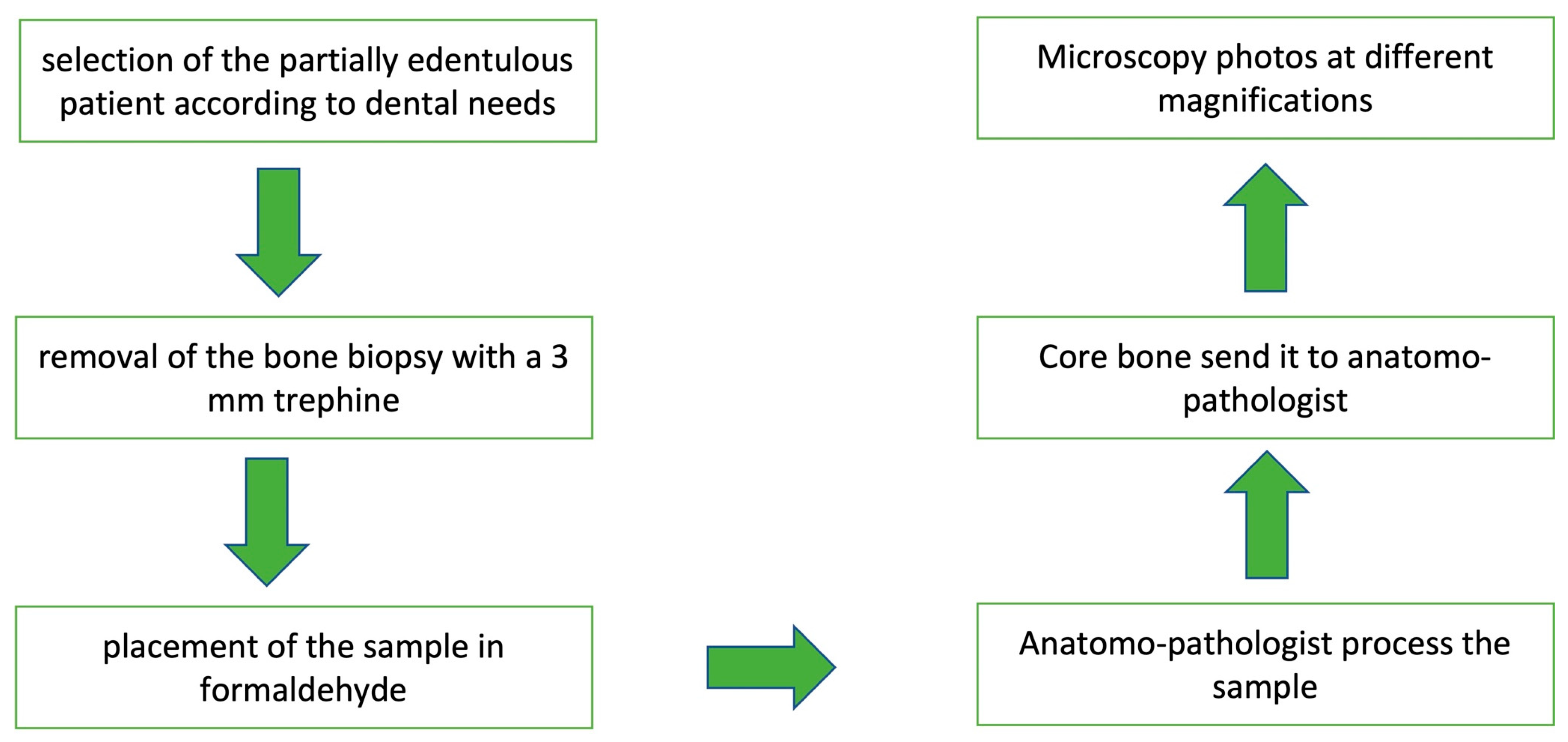 Medicina 58 00056 ch002