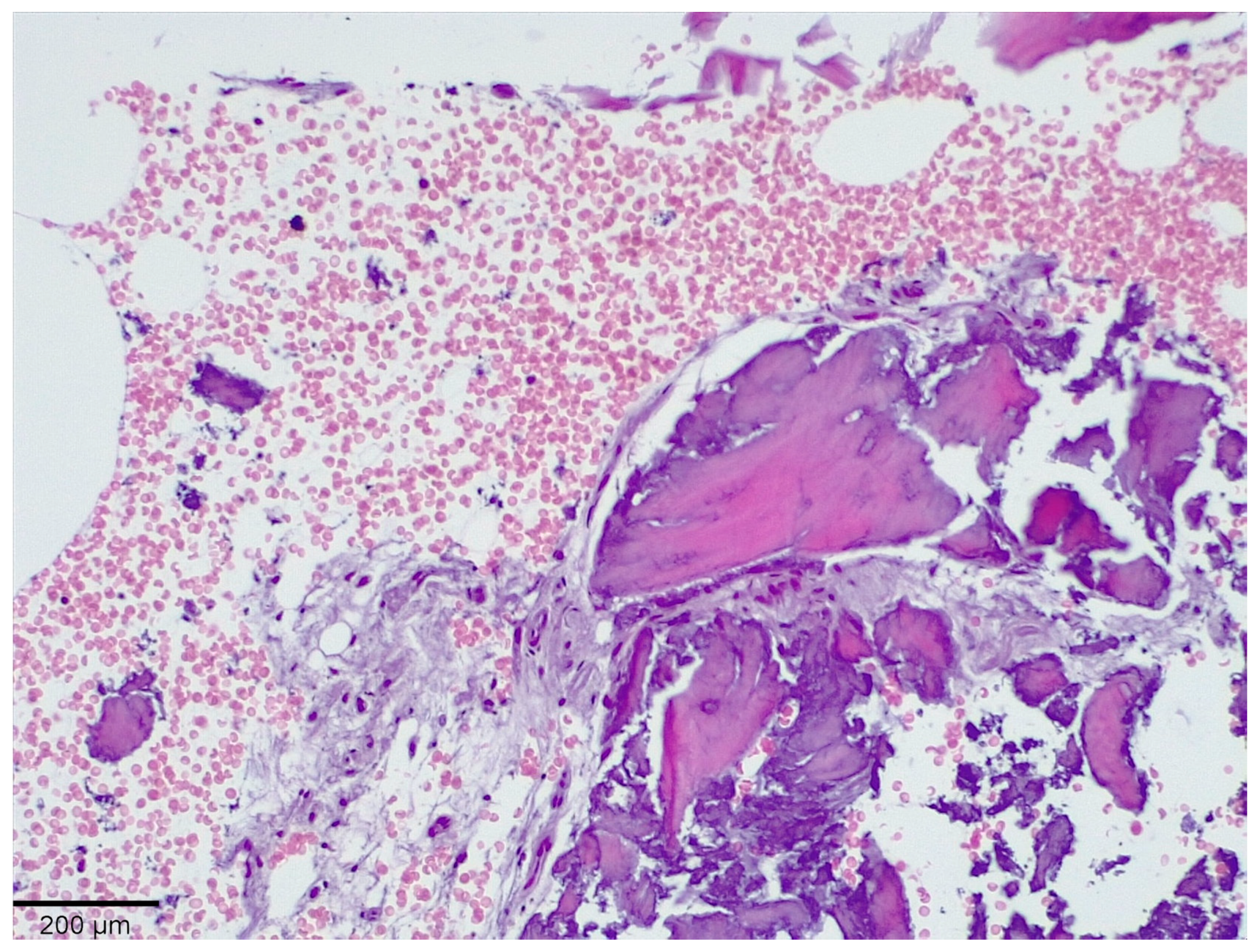 Medicina 58 00056 g003