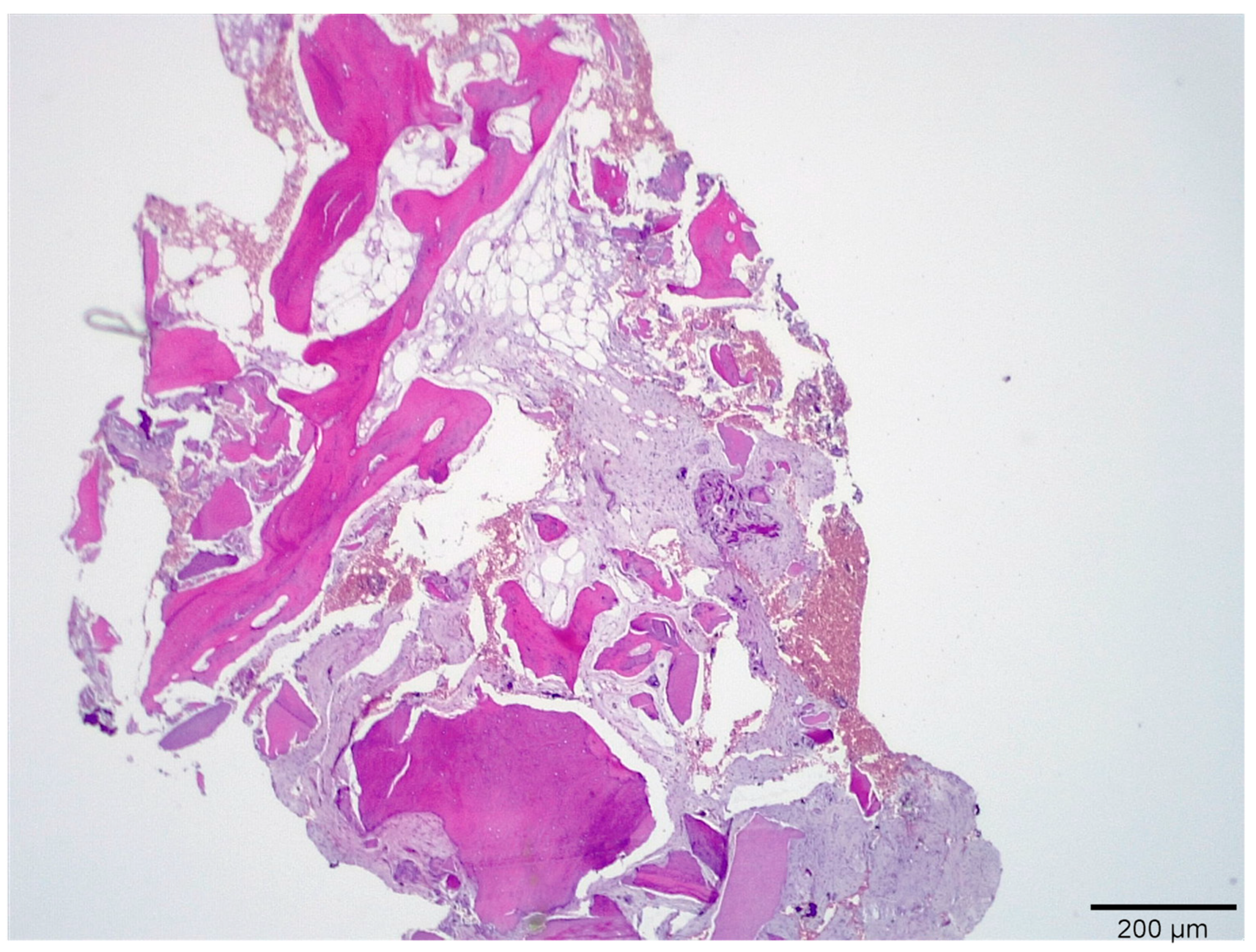 Medicina 58 00056 g005