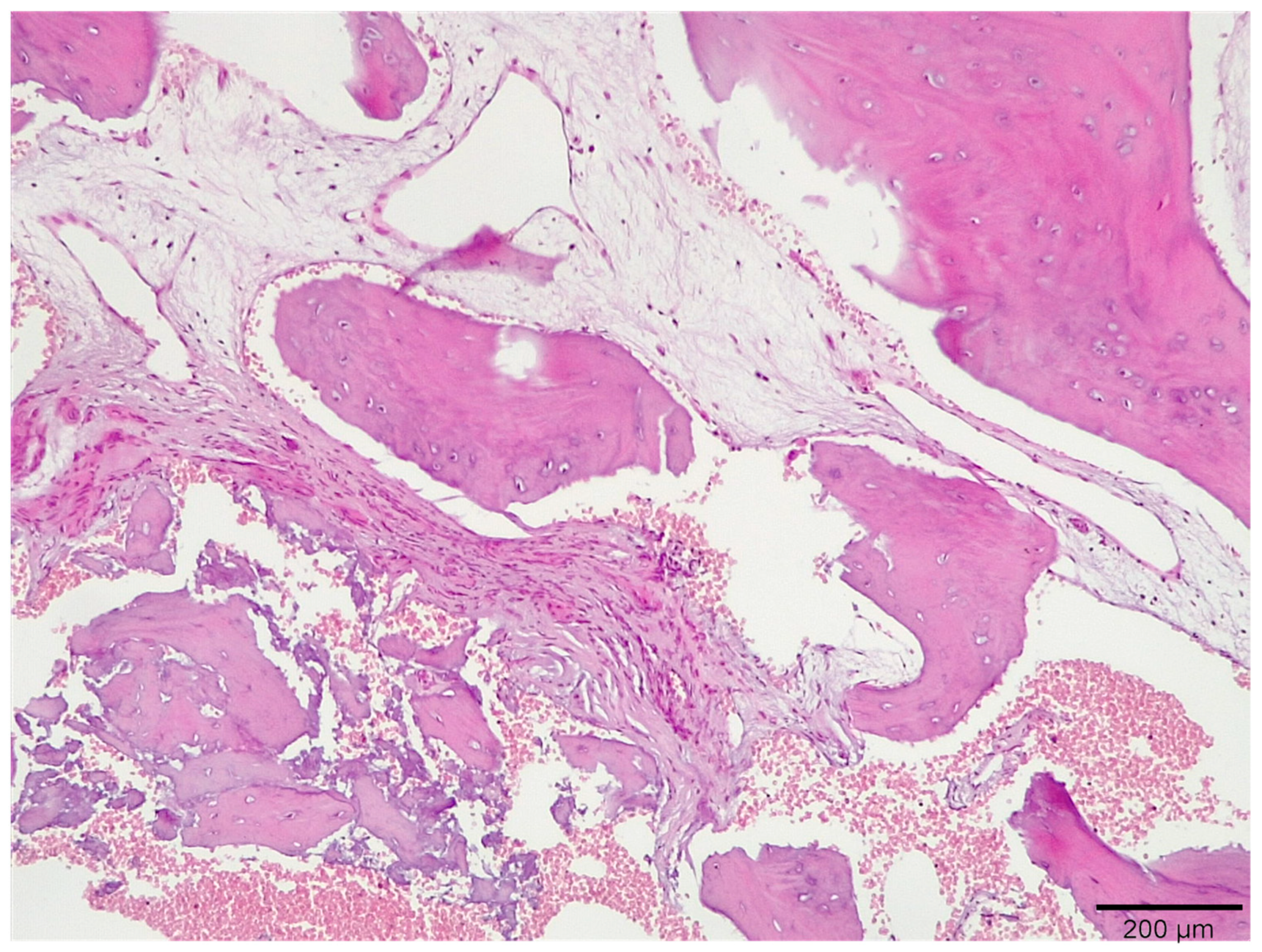 Medicina 58 00056 g006