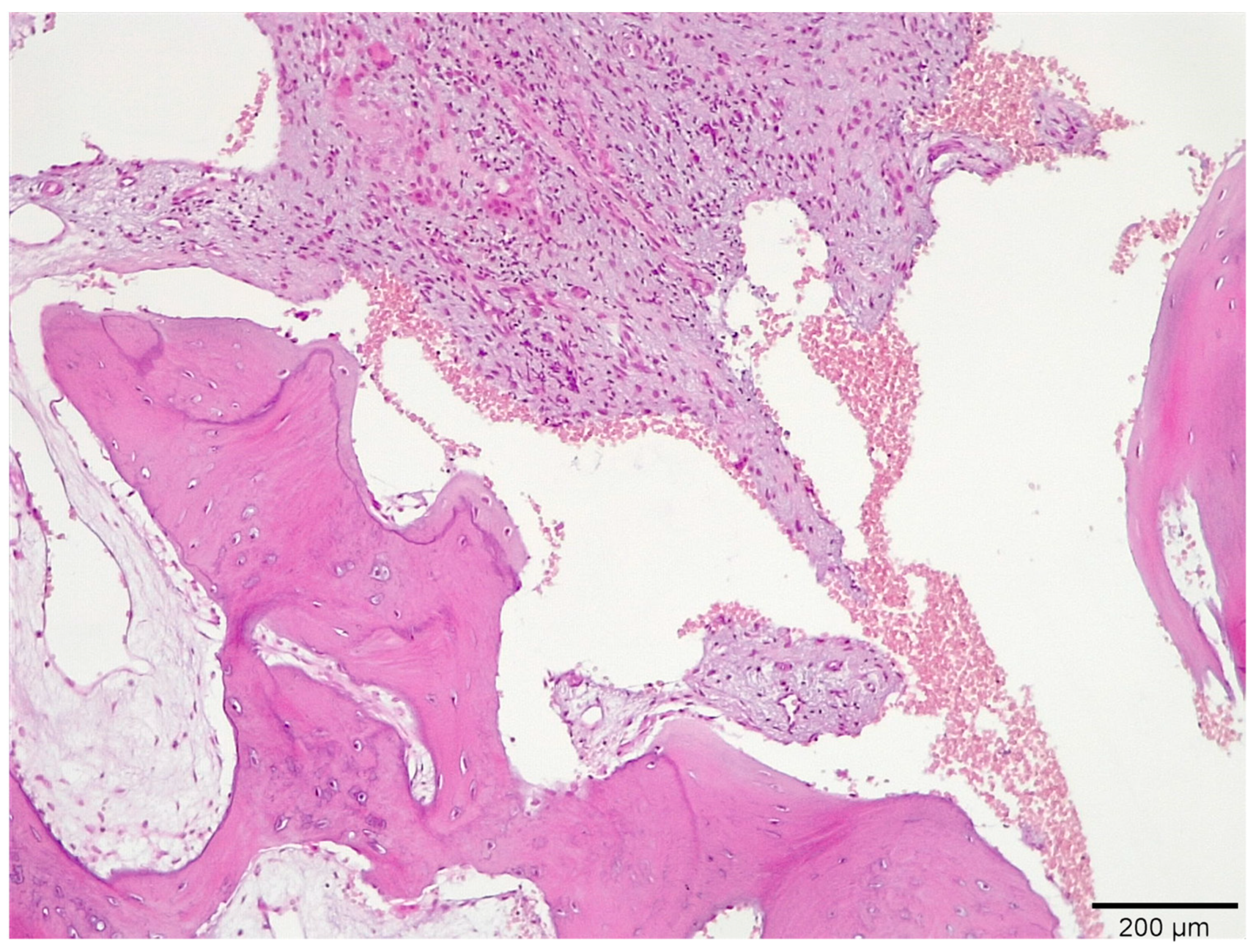 Medicina 58 00056 g007