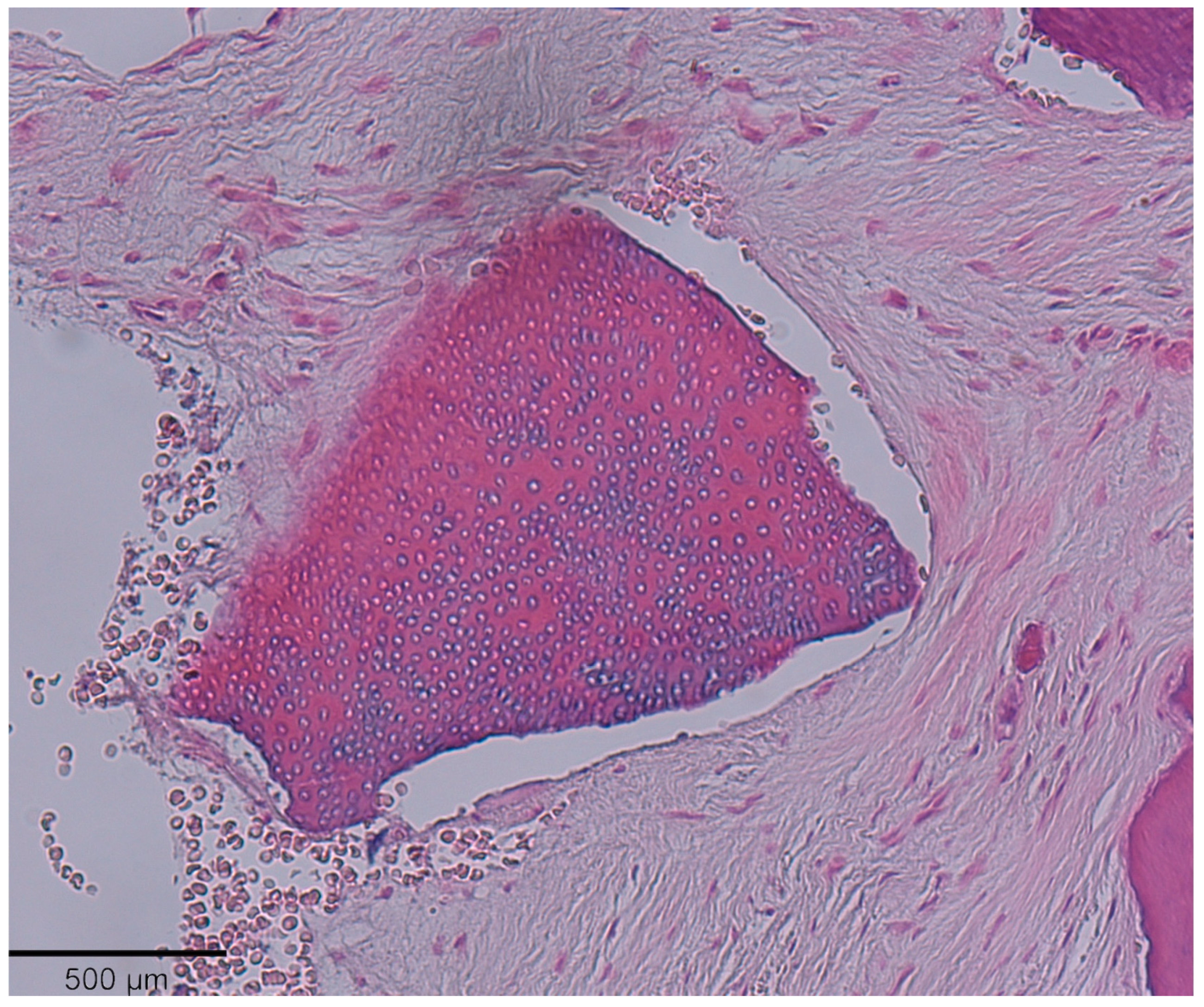 Medicina 58 00056 g008