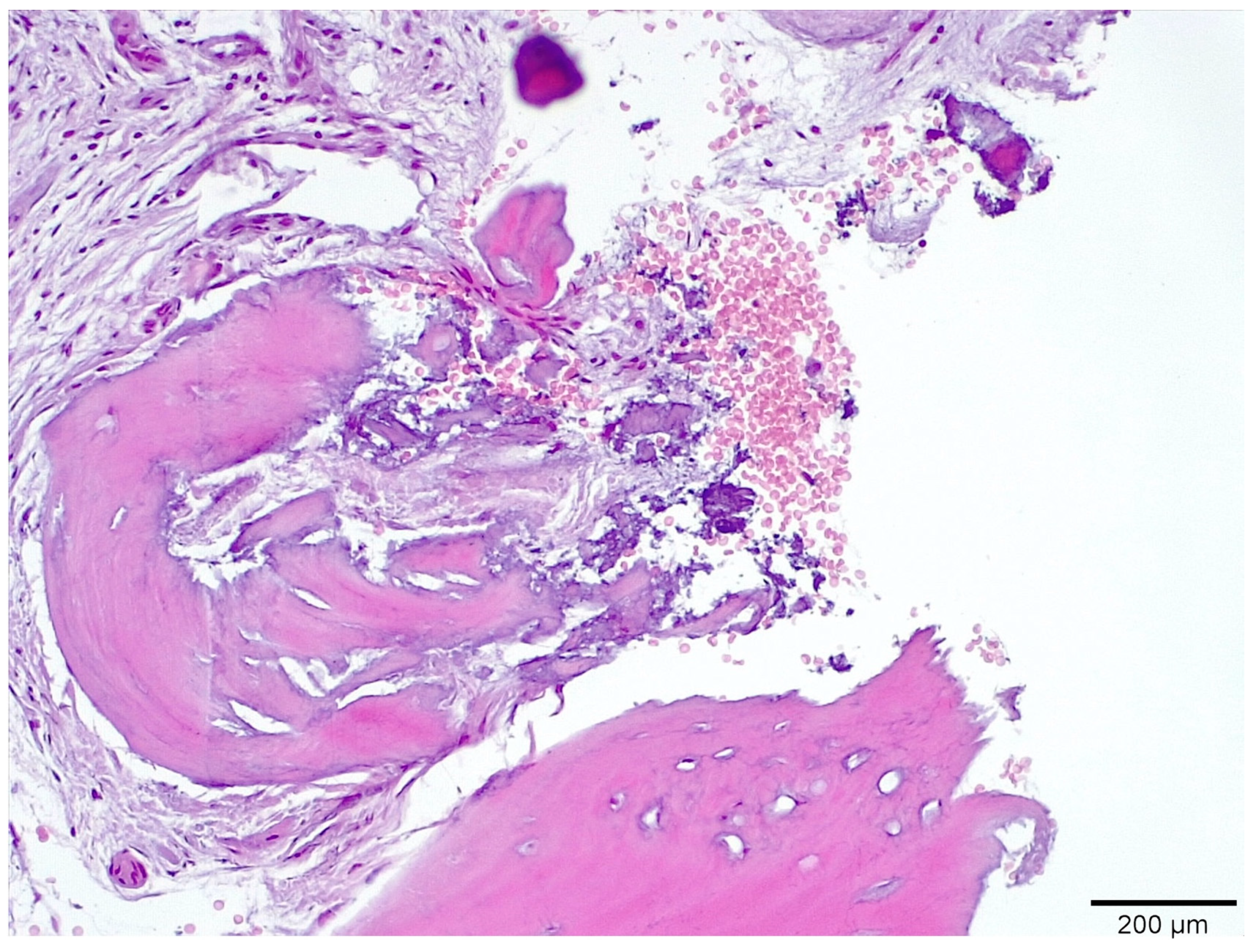 Medicina 58 00056 g009