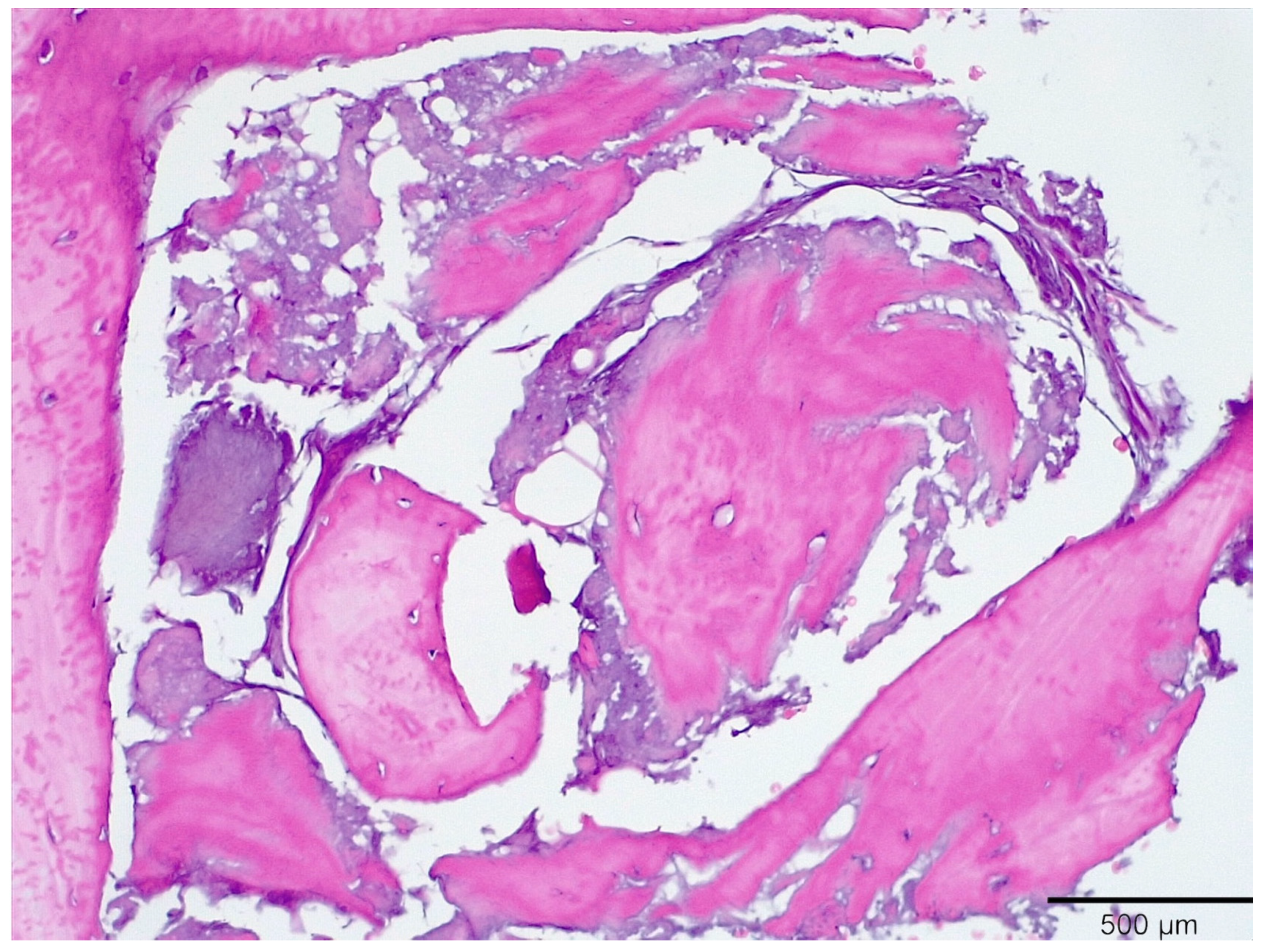 Medicina 58 00056 g010