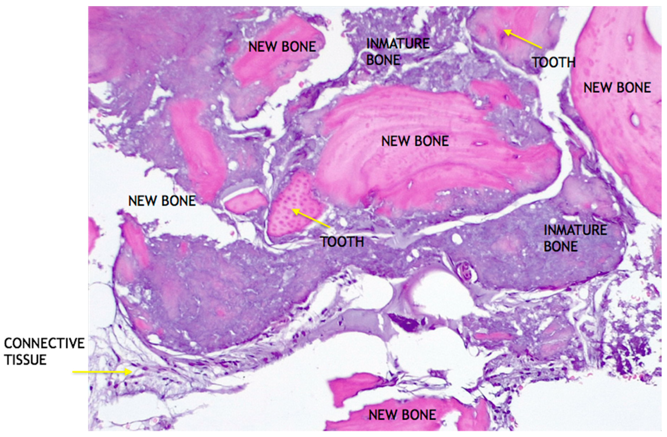 Medicina 58 00056 g011