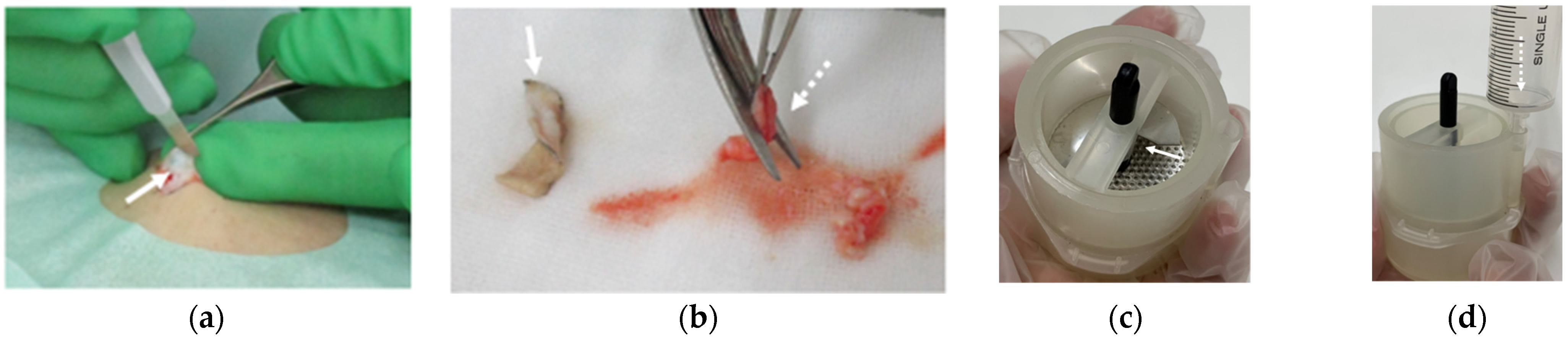 Medicina 58 00073 g002