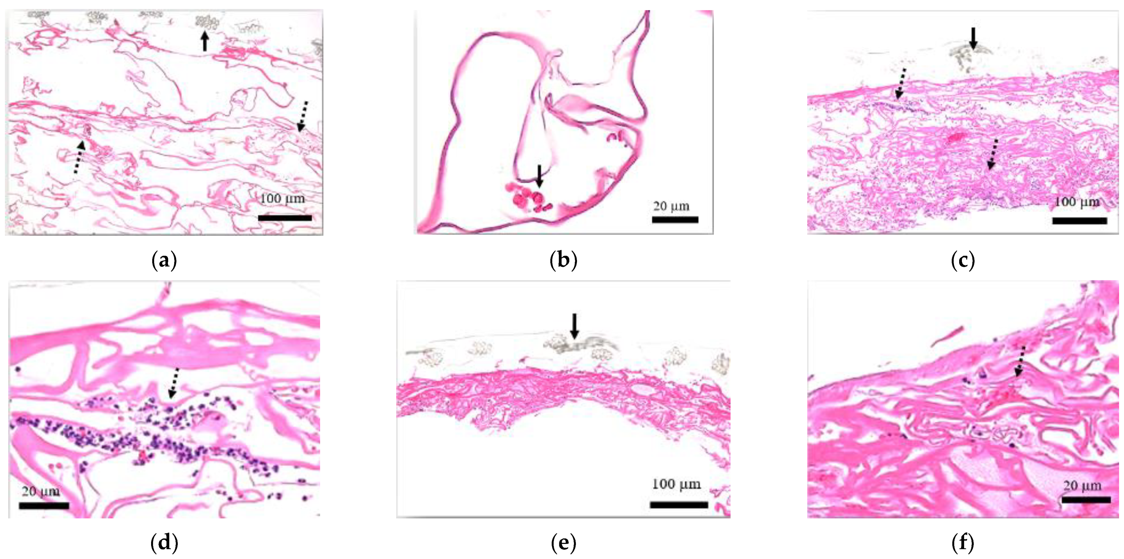 Medicina 58 00073 g004