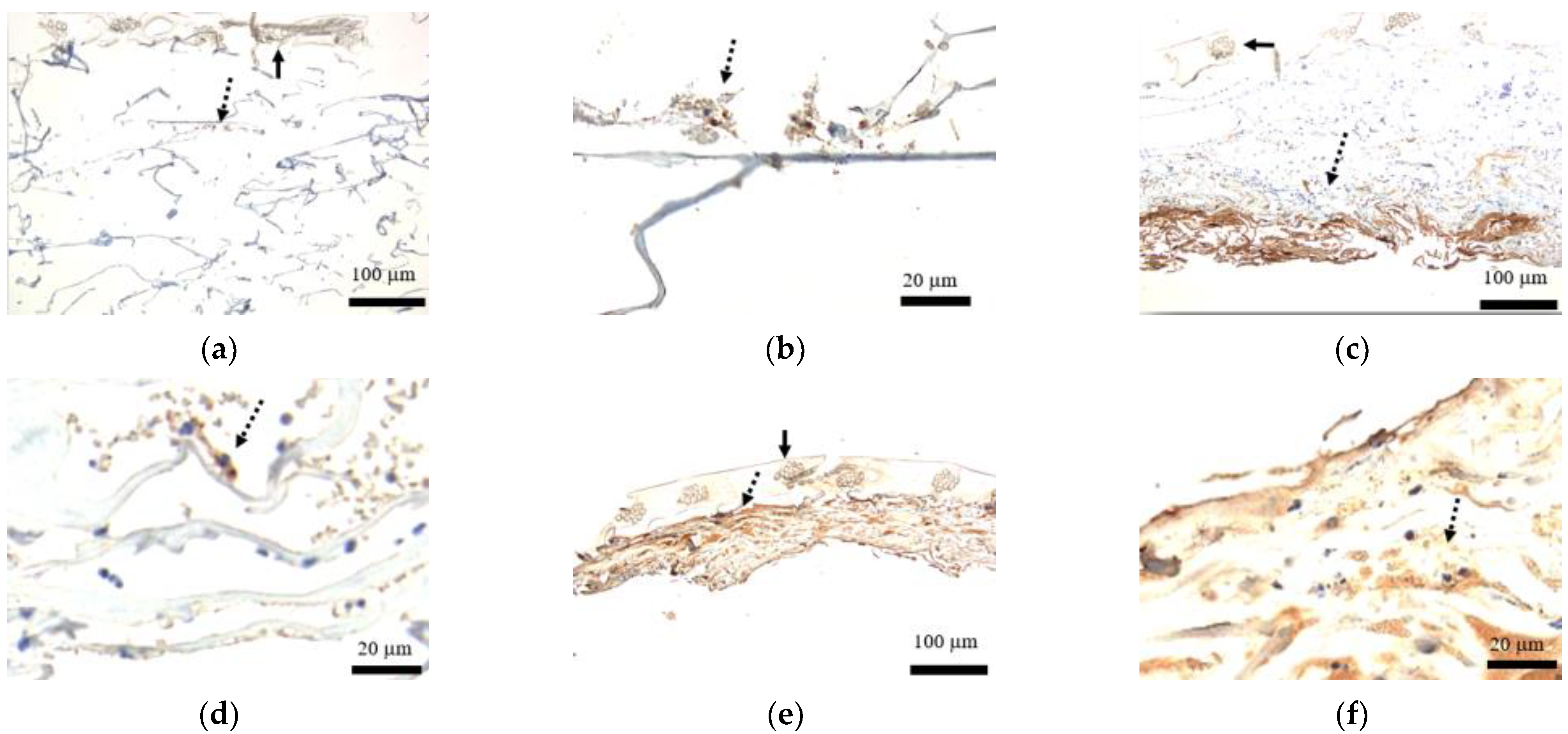 Medicina 58 00073 g005