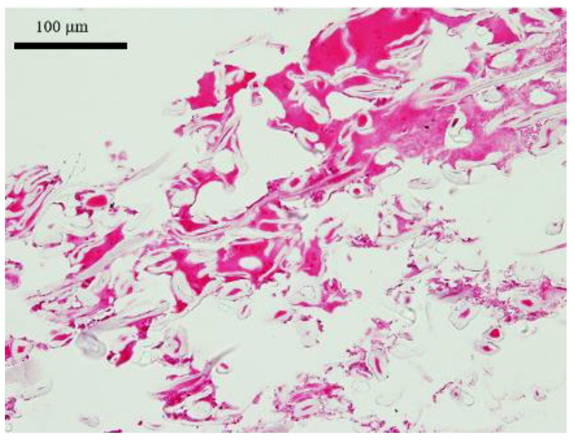 Medicina 58 00073 g008