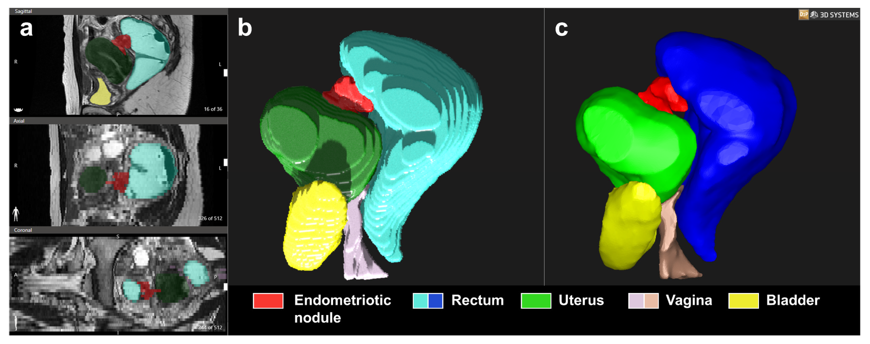 Medicina 58 00086 g001