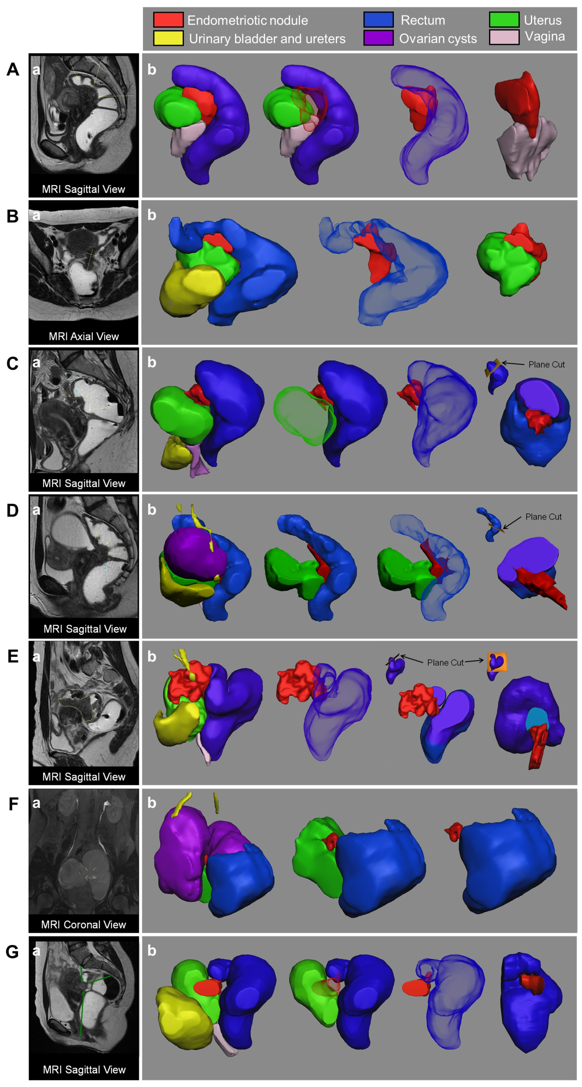 Medicina 58 00086 g002