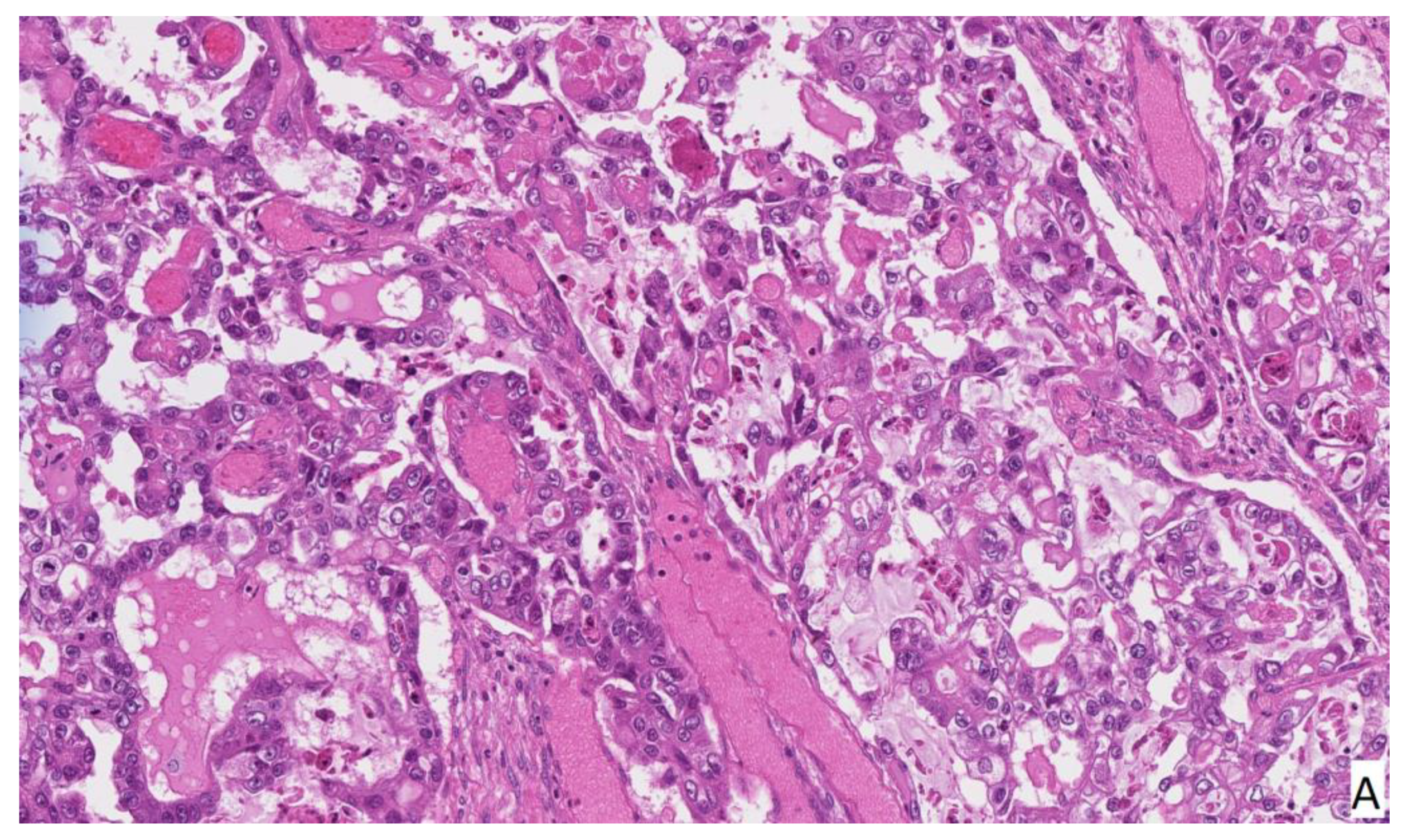 Medicina 58 00089 g003a