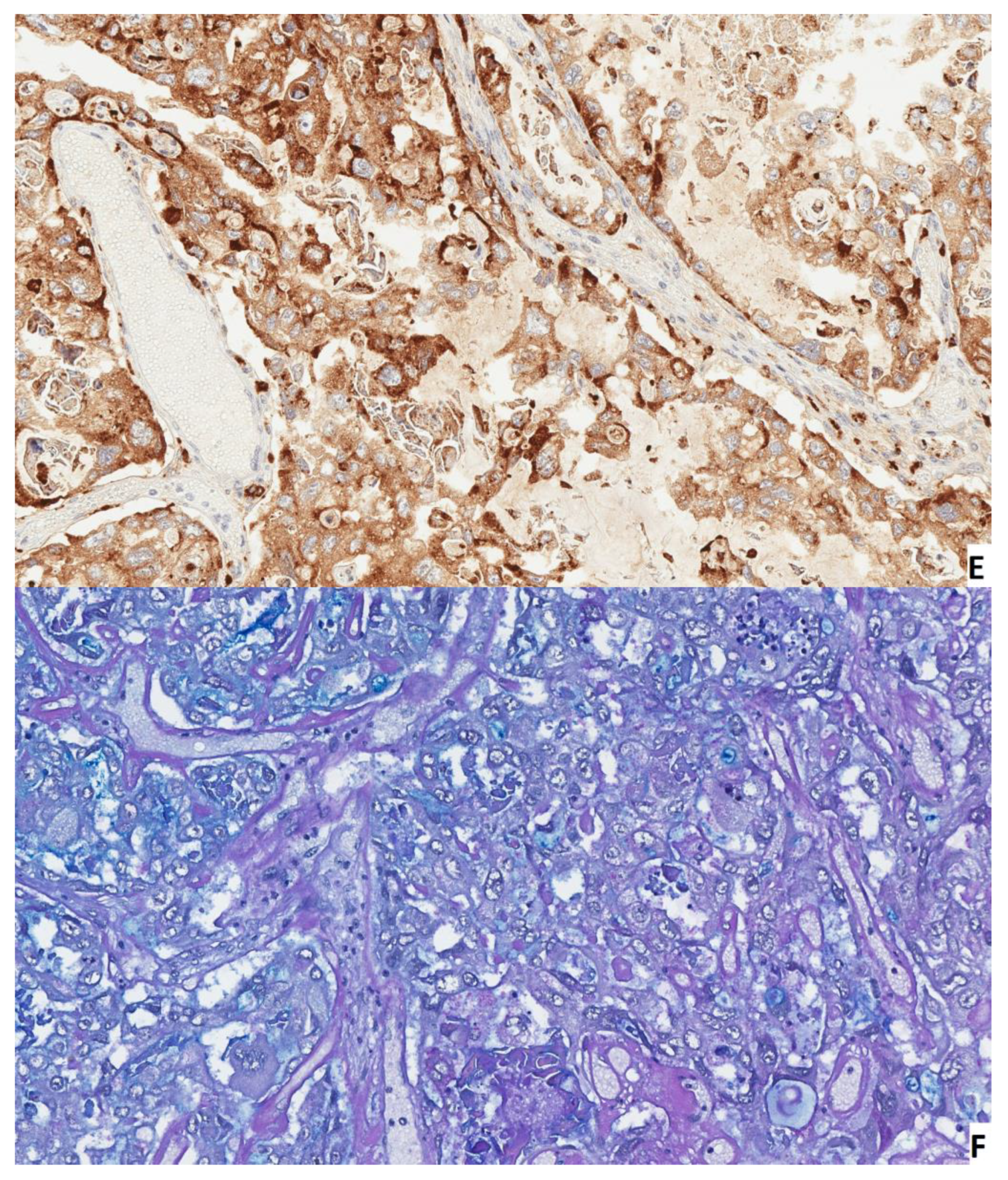 Medicina 58 00089 g003c