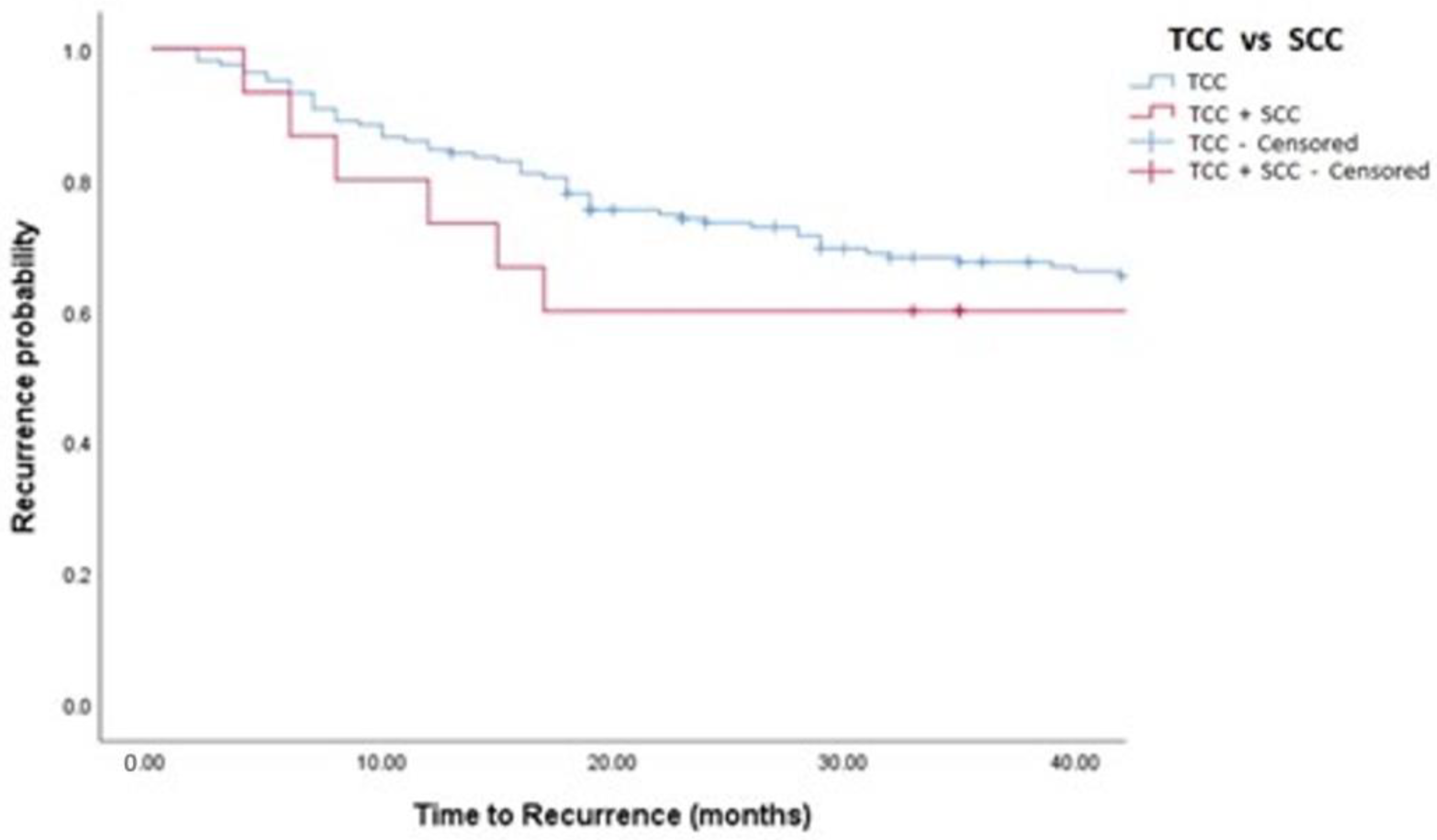 Medicina 58 00090 g001