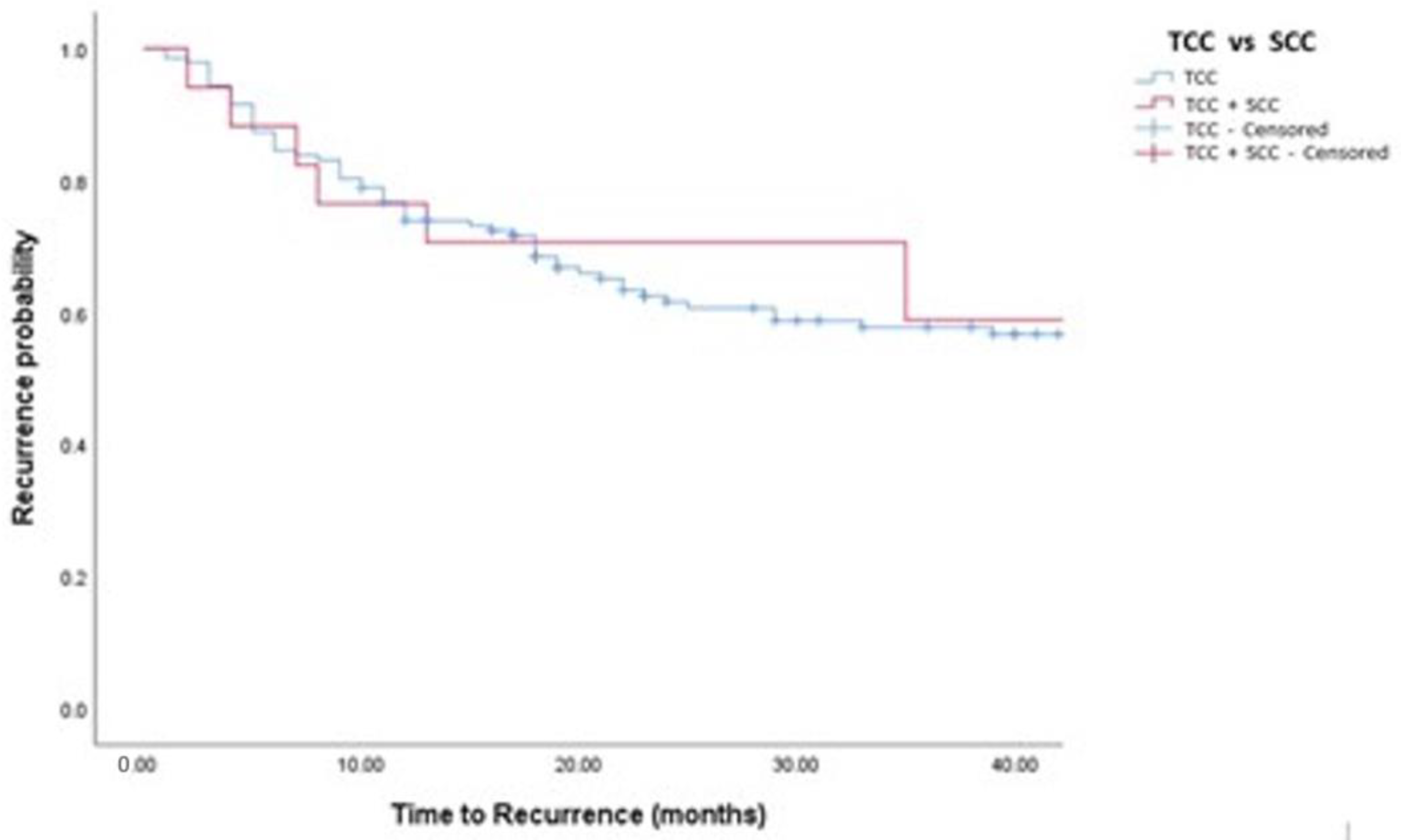 Medicina 58 00090 g002