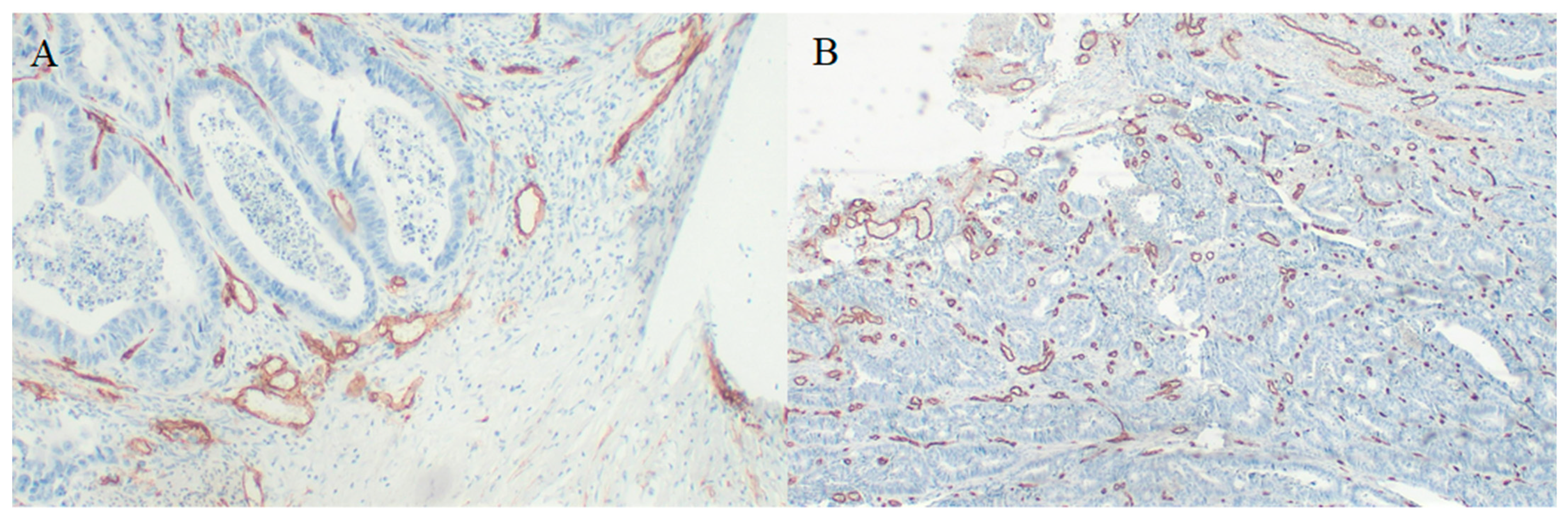 Medicina 58 00096 g003