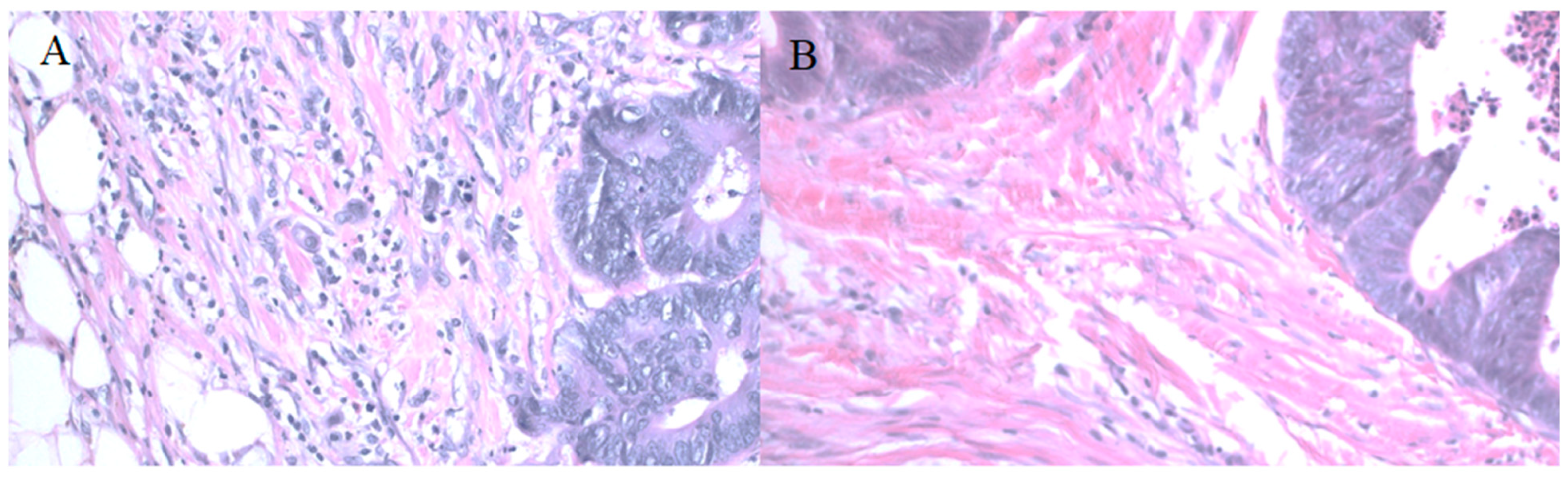 Medicina 58 00096 g005