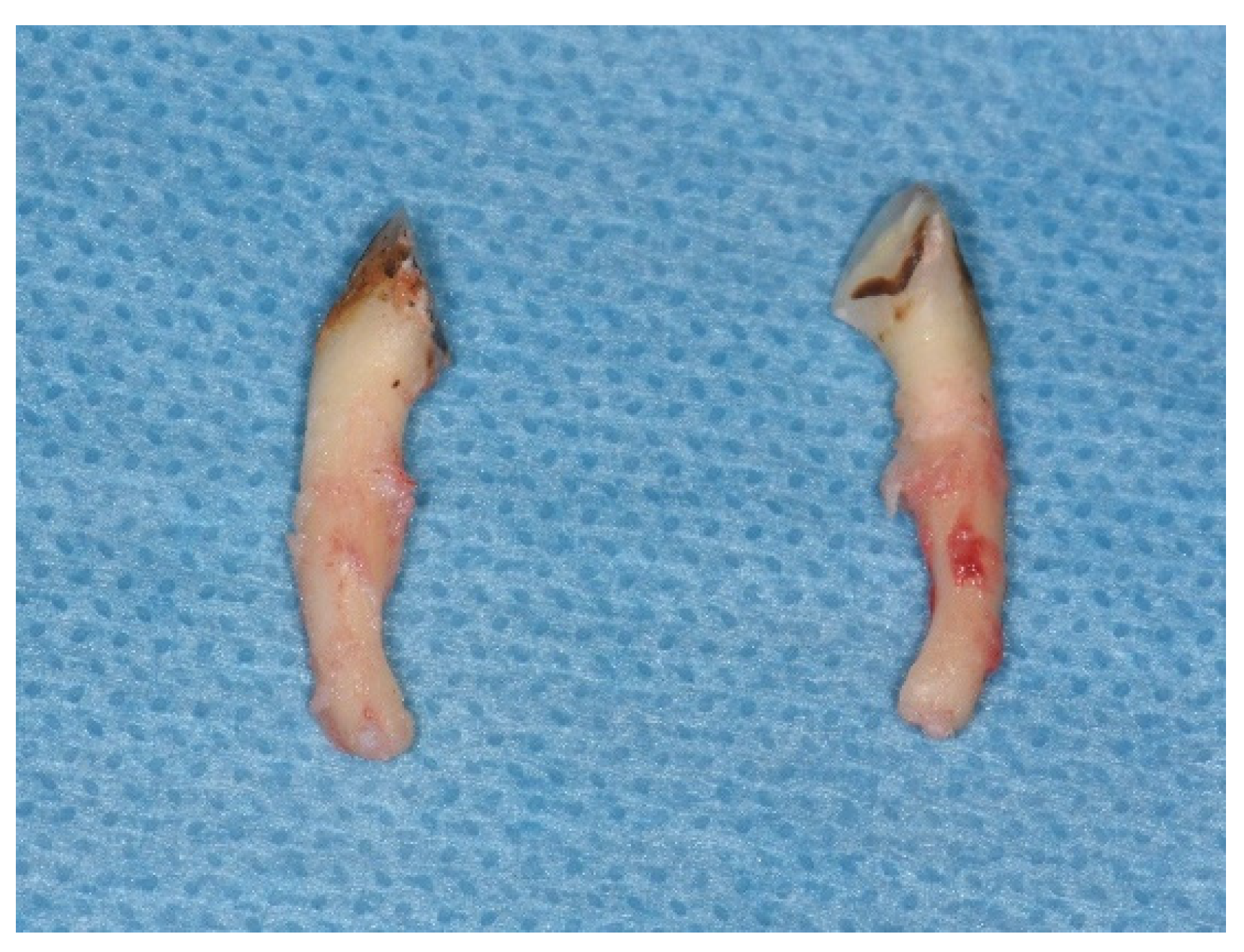 Medicina 58 00103 g001