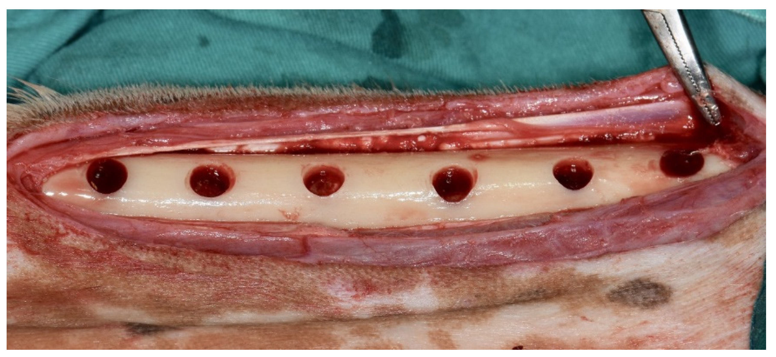 Medicina 58 00103 g002