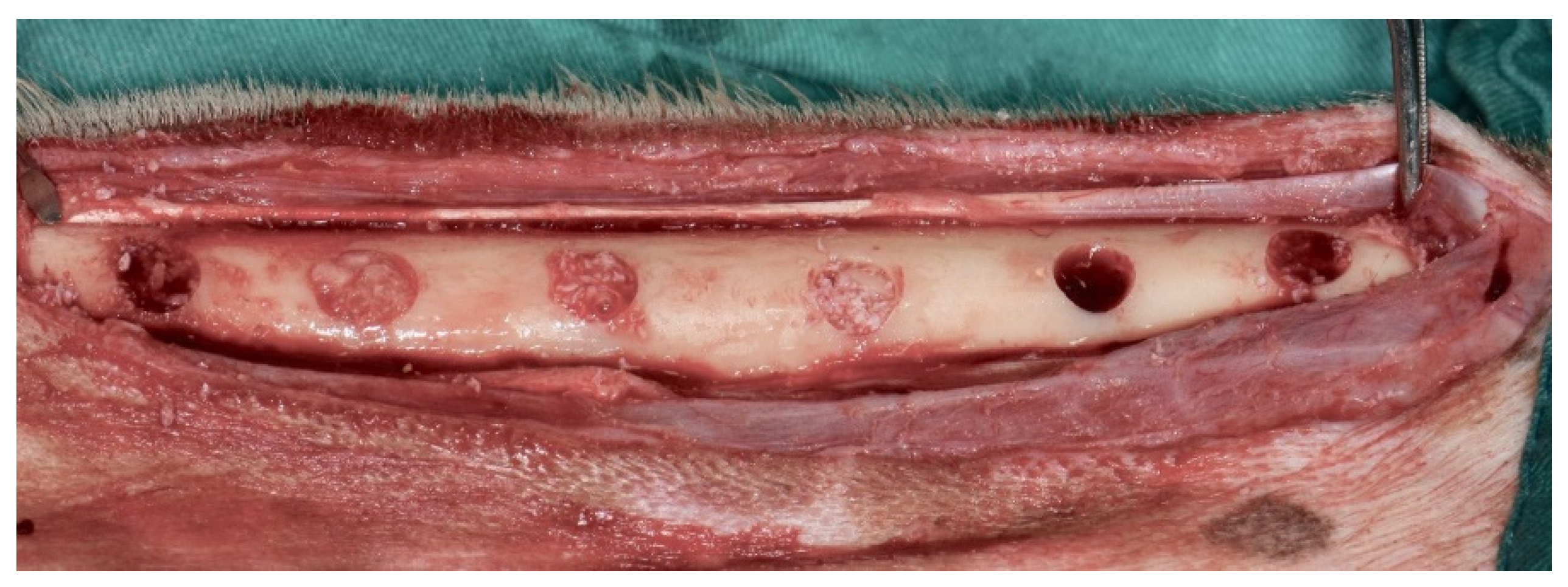 Medicina 58 00103 g003