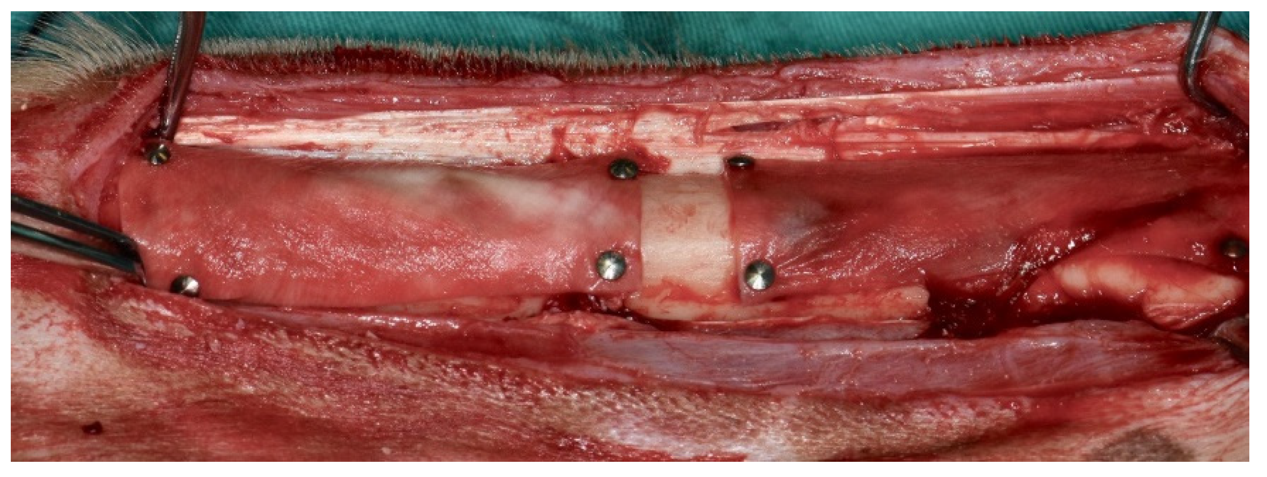 Medicina 58 00103 g004