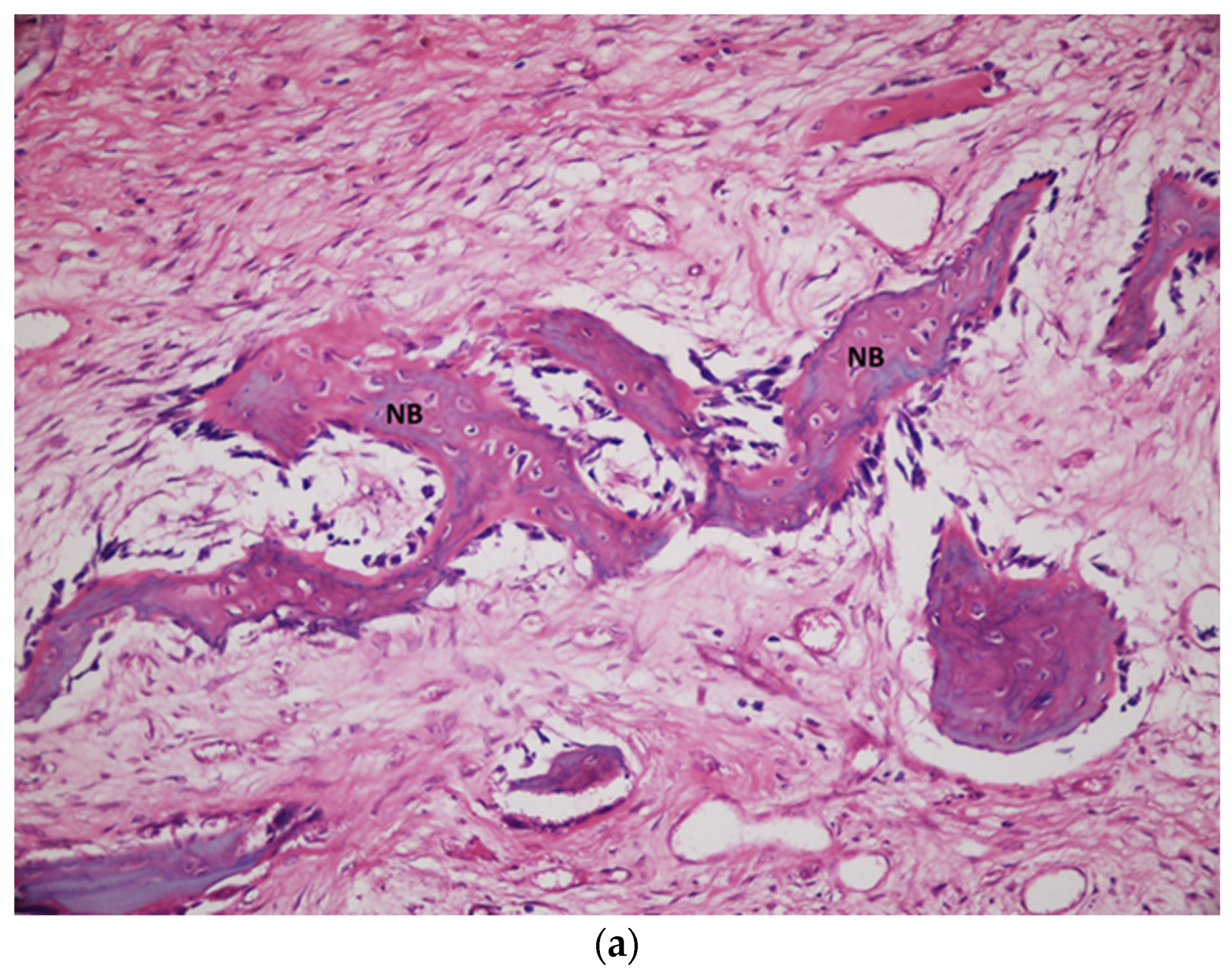 Medicina 58 00103 g008a