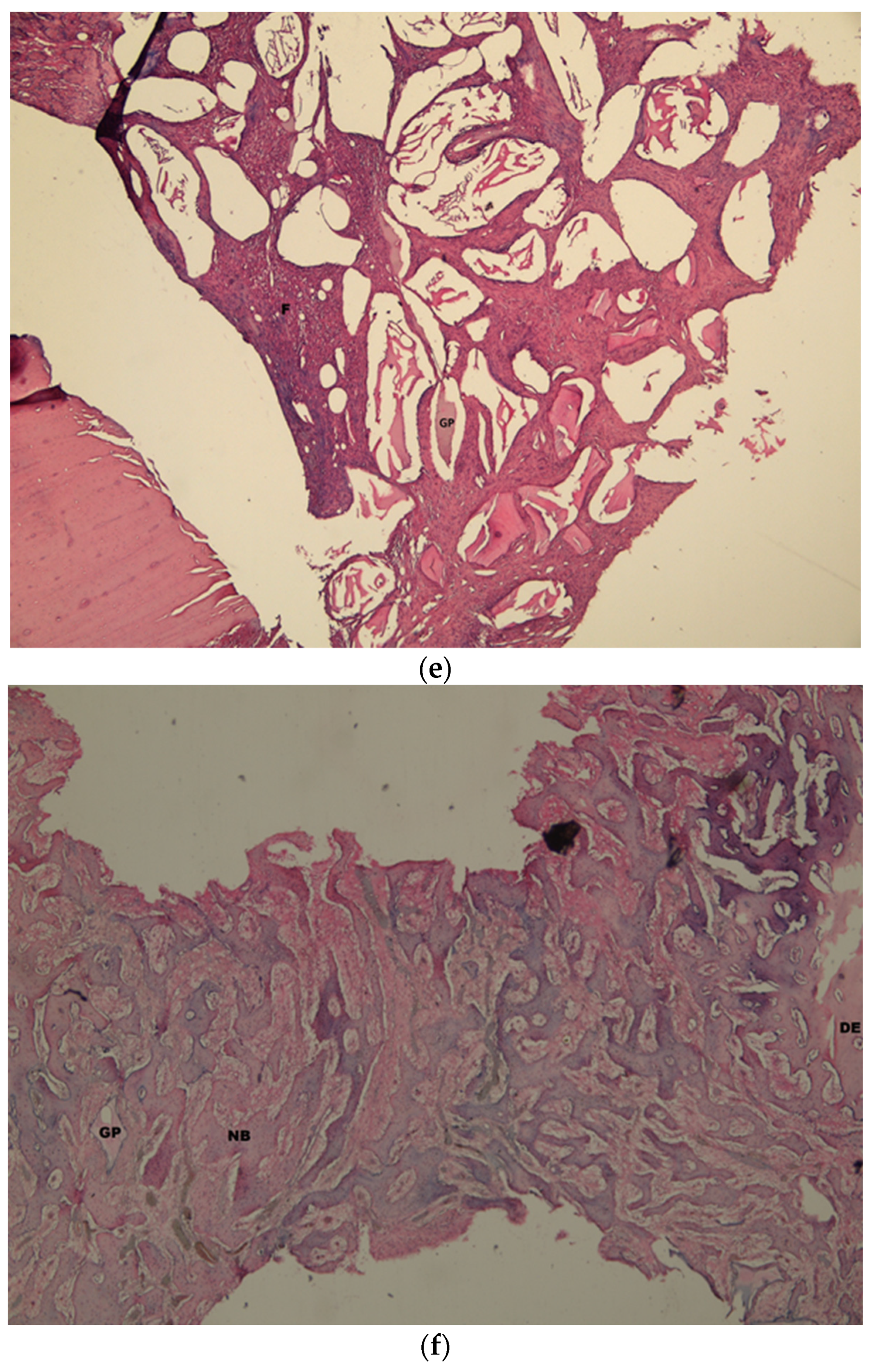 Medicina 58 00103 g008c