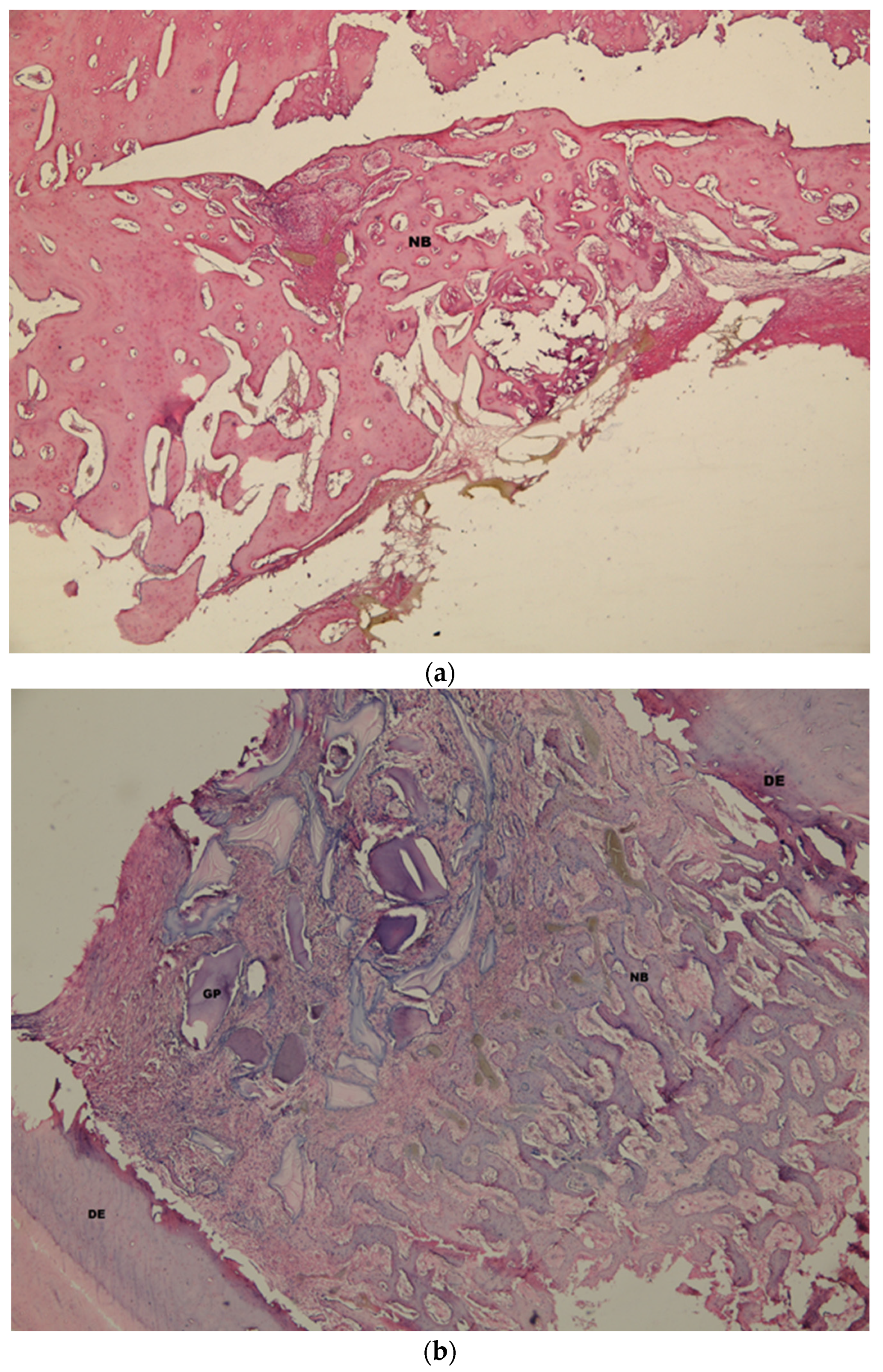 Medicina 58 00103 g009a